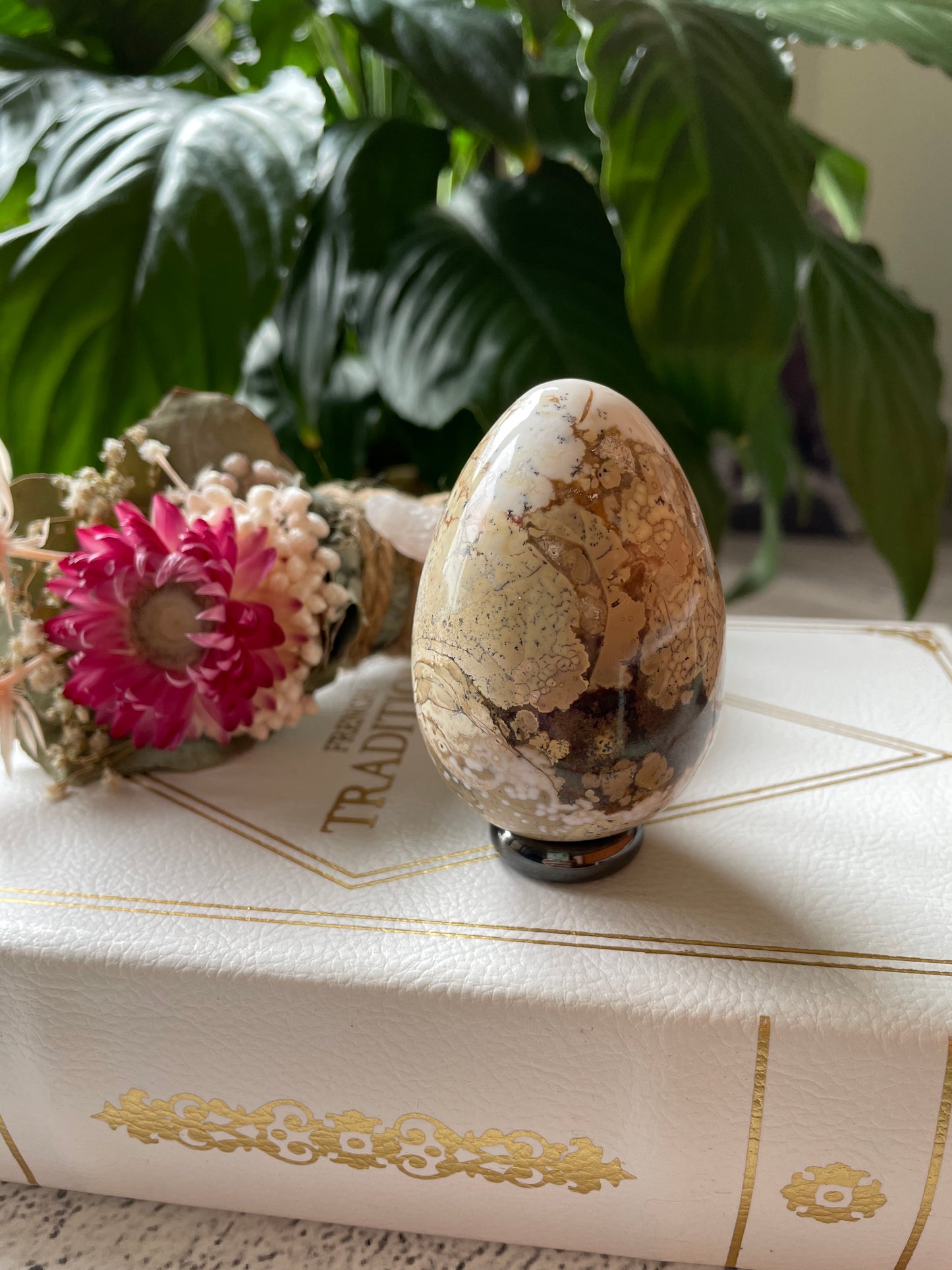 Spotted Agate Egg Includes Hematite Ring