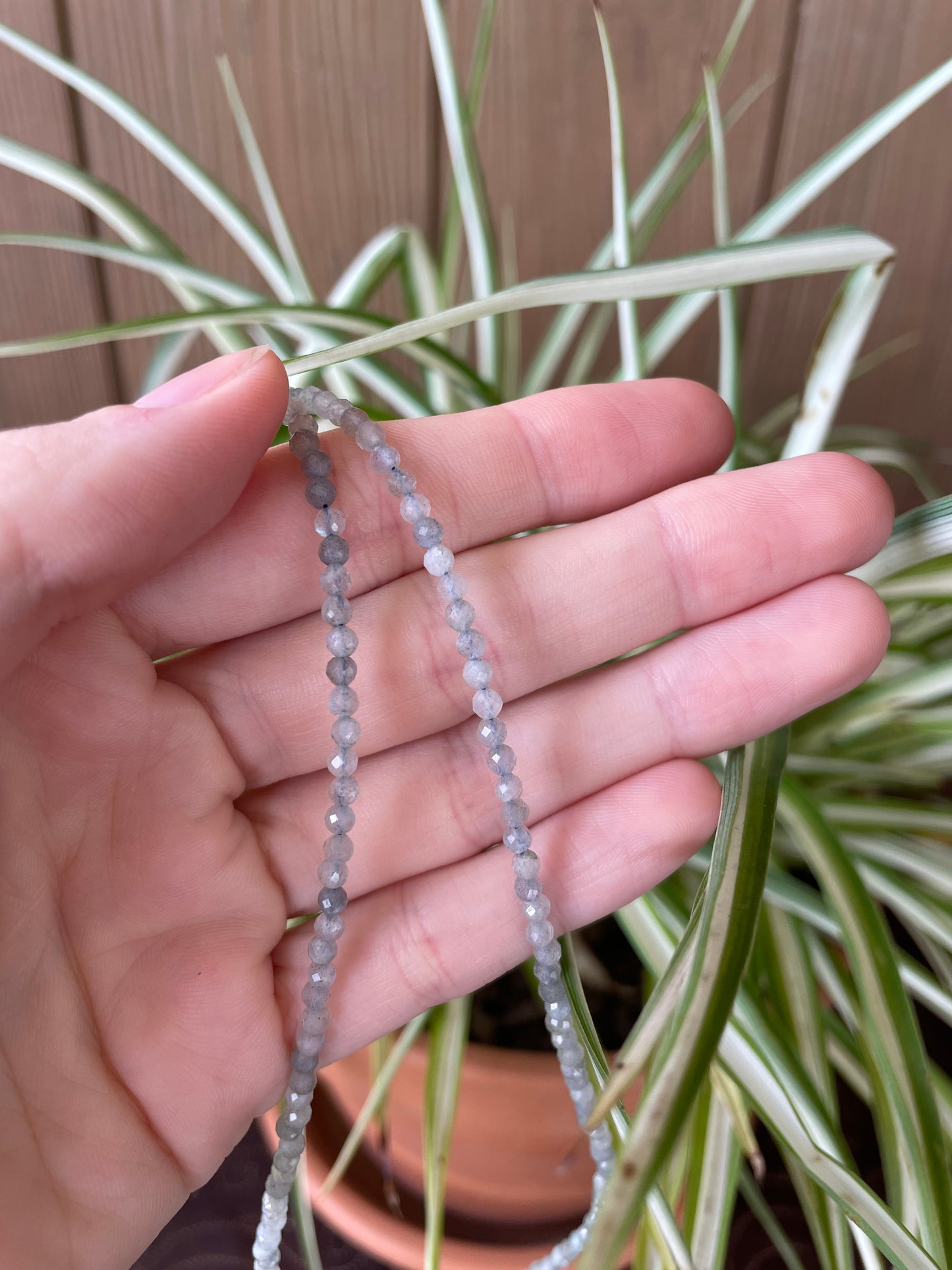 Labradorite Mystical ~ Faceted Necklace