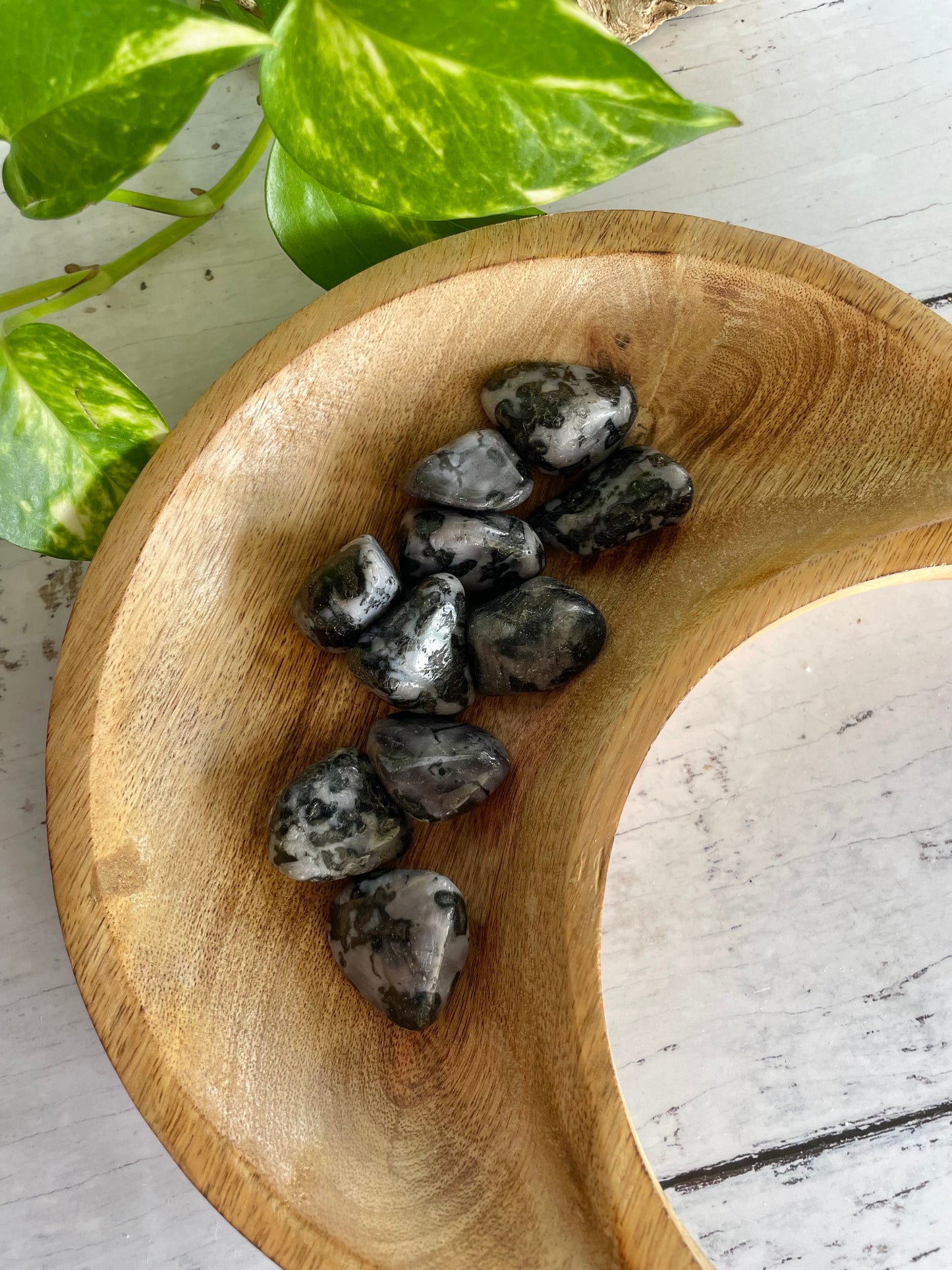 Indigo Gabbro Tumble Stones