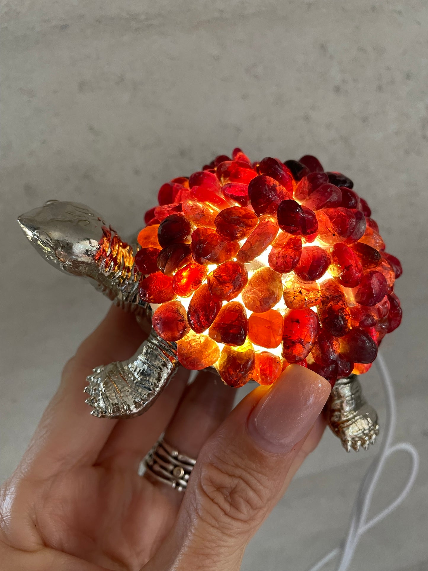Tortoise Led Lamp - Garnet