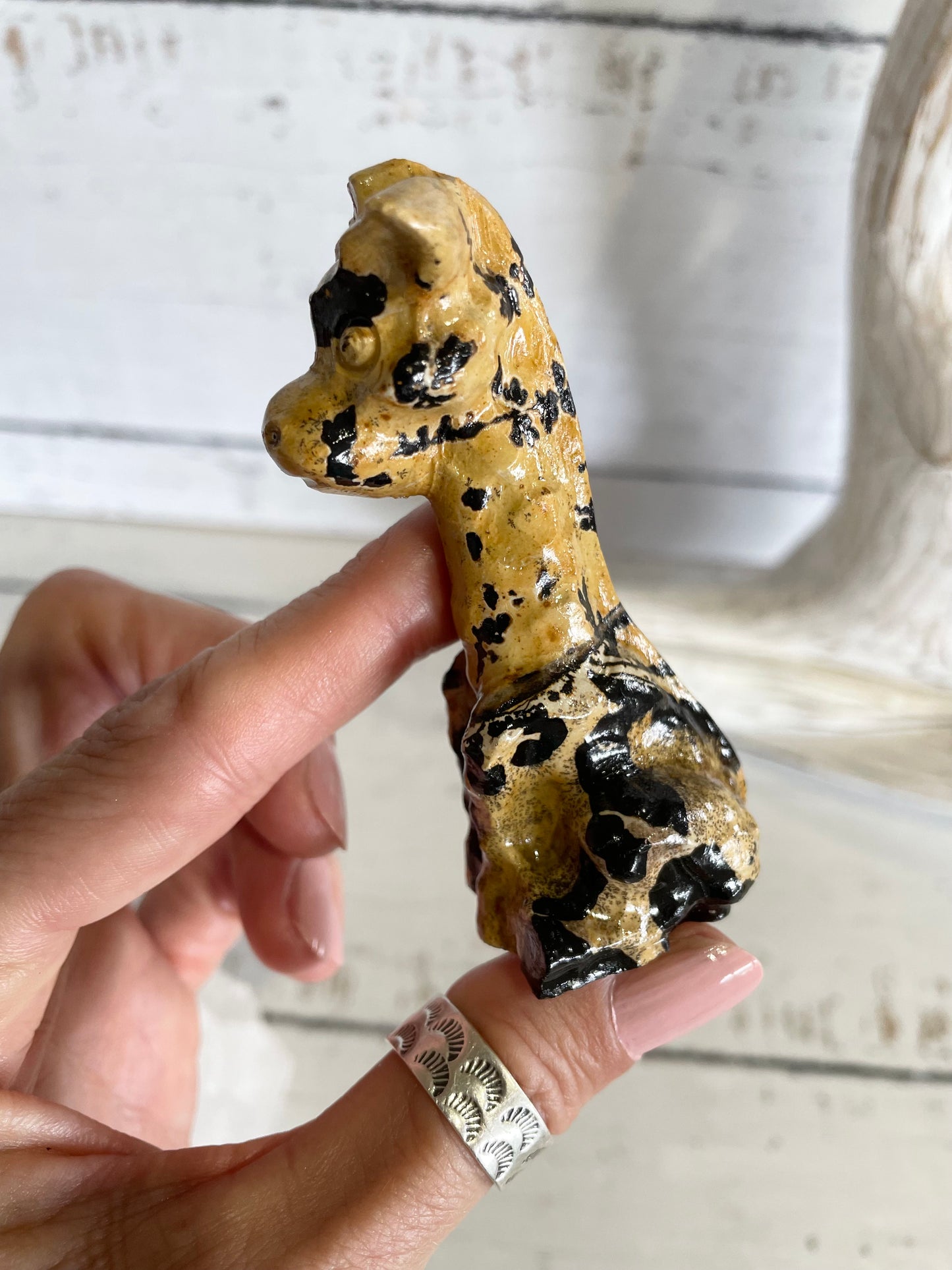 Picture Jasper Giraffe ~ 19
