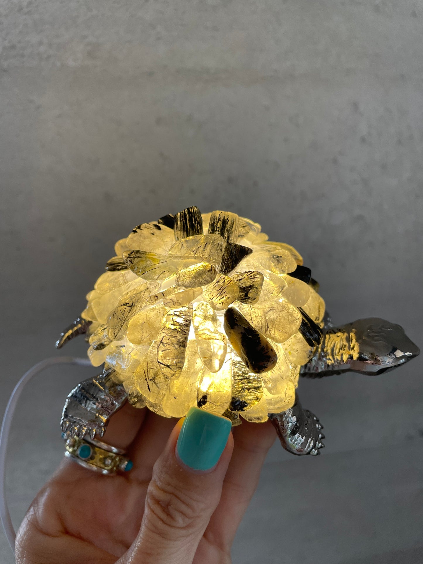 Tortoise Led Lamp ~ Tourmaline in quartz