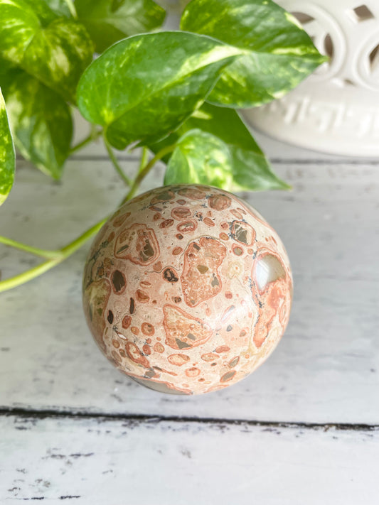 Leopard Skin Jasper Sphere Includes Wooden Holder