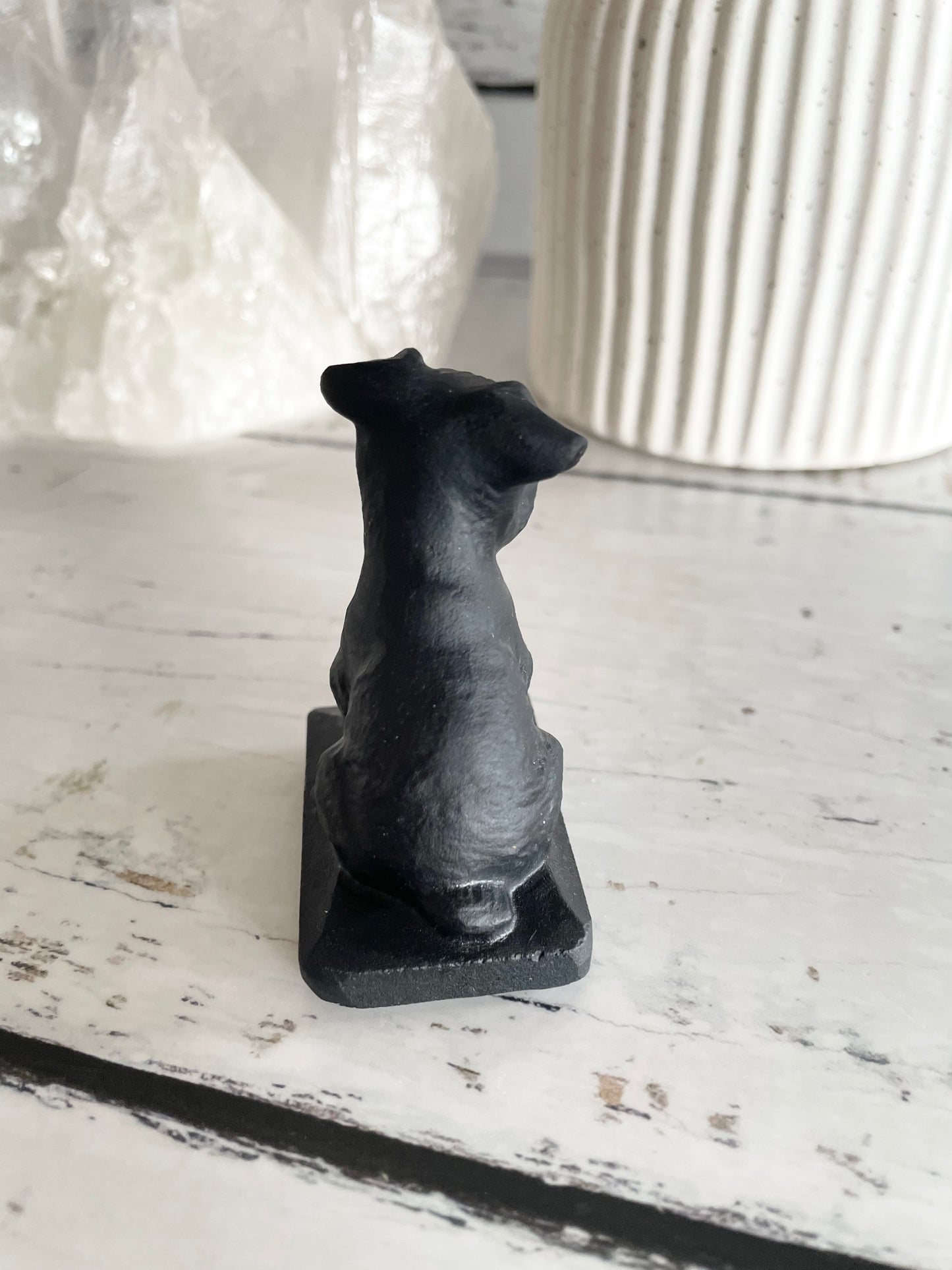 Black Obsidian Dog ~ Schnauzer (old man cutie)