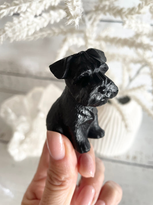 Black Obsidian Dog ~ Schnauzer (cutest face award)