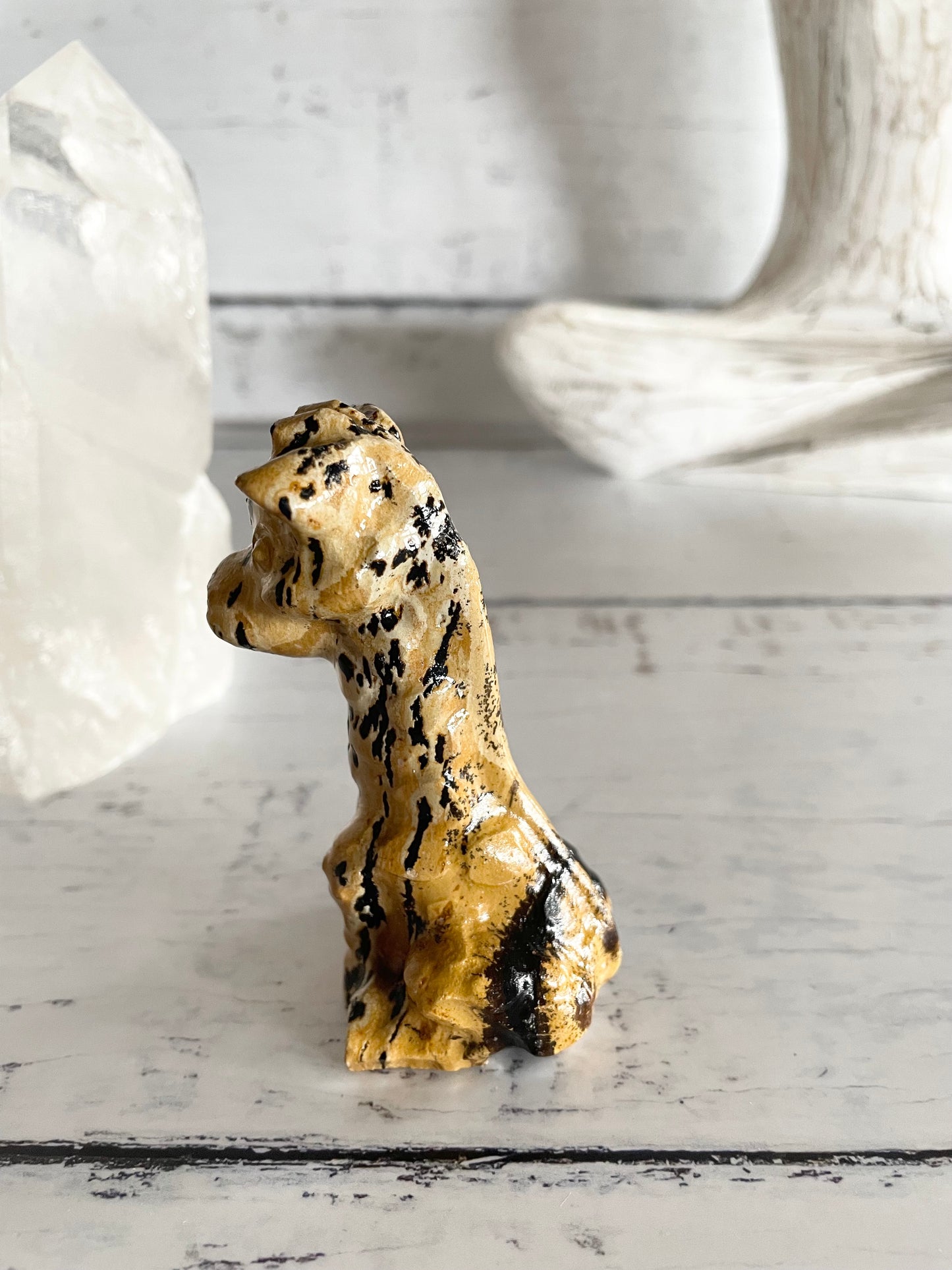 Picture Jasper Giraffe ~ 2