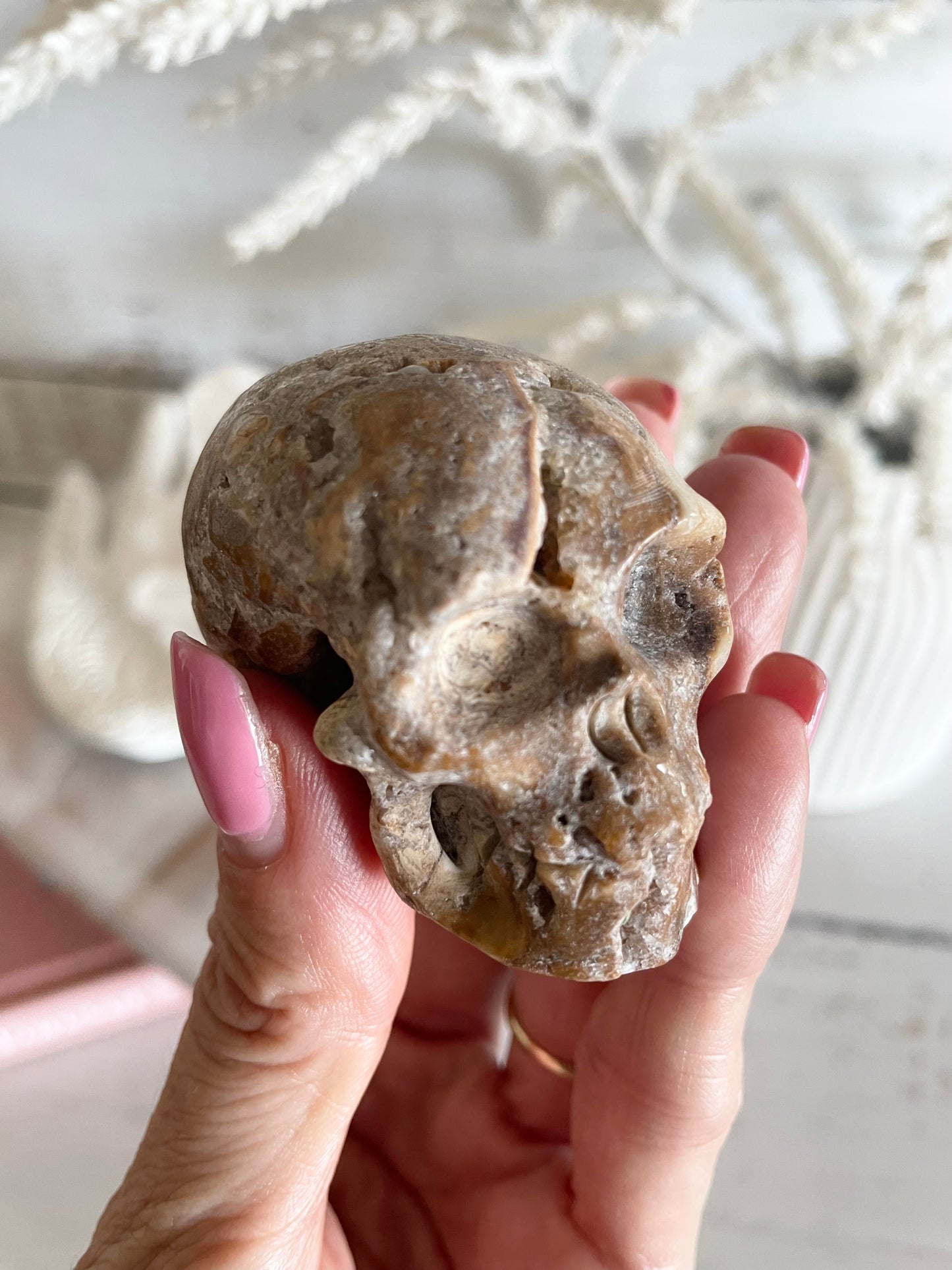 Crazy Lace Agate Skull