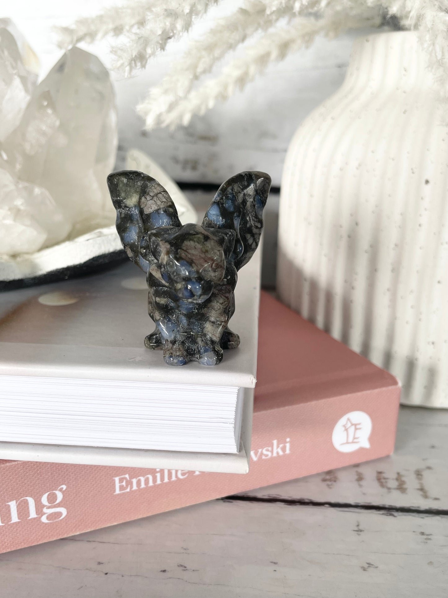 Gargoyle ~ Que Sera / Llanite