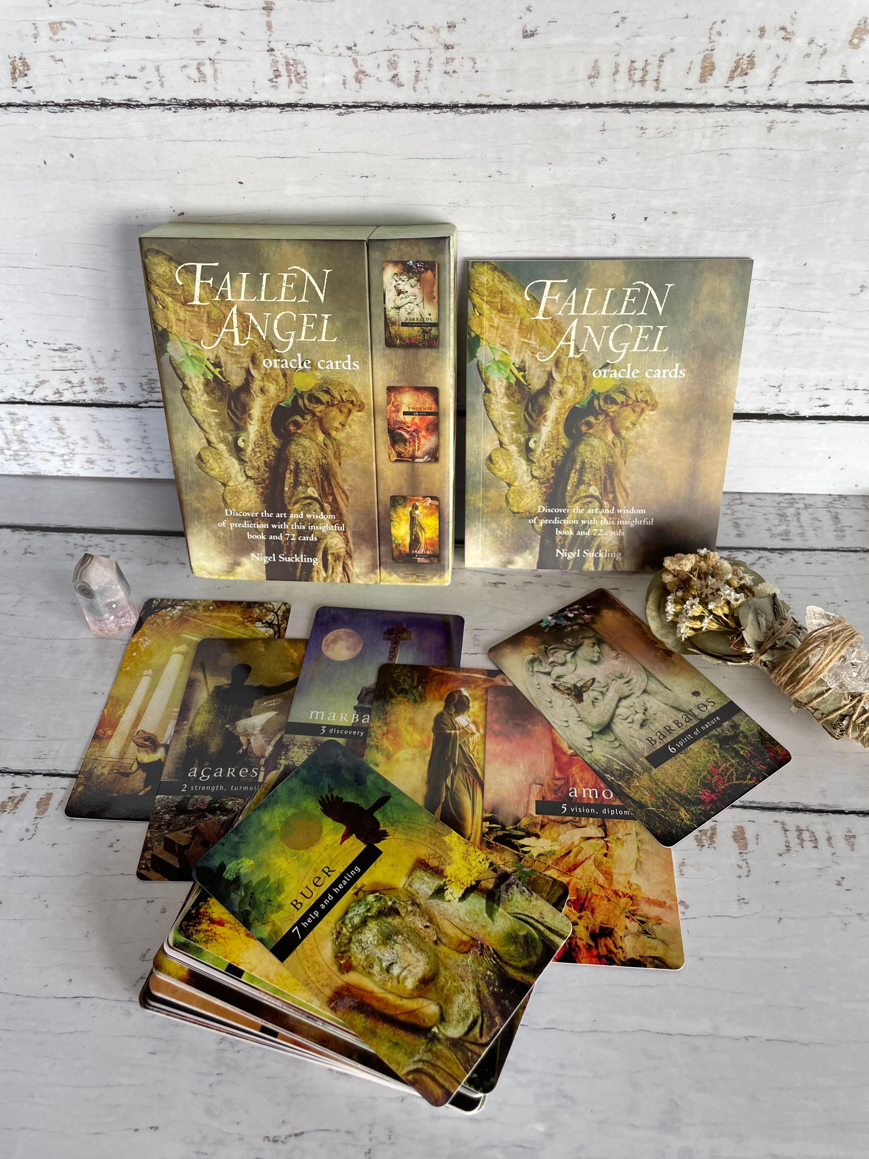 Fallen Angel Oracle Cards – MoonstoneGypsyAU