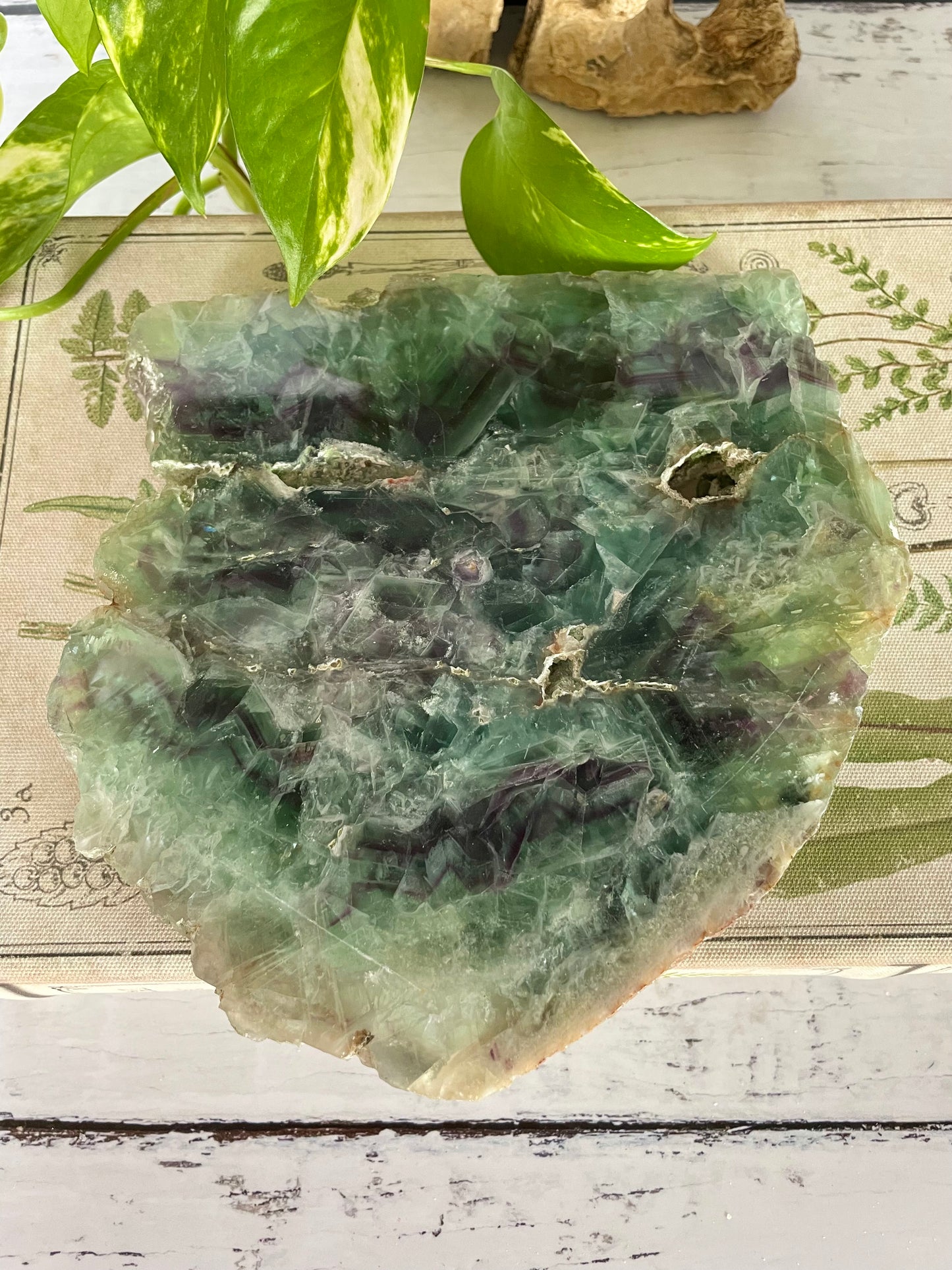 Rainbow Fluorite Slab