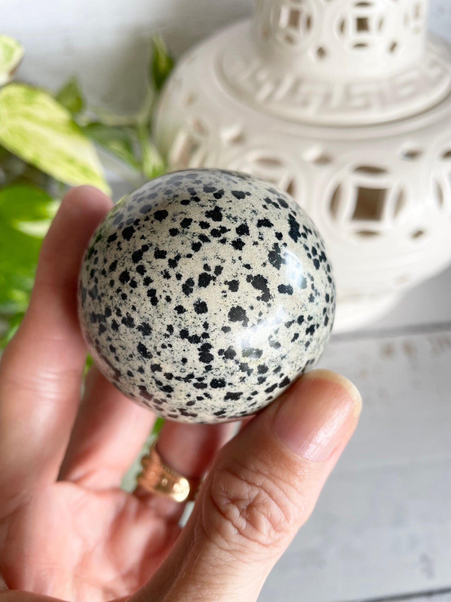 Dalmation Jasper Sphere Includes Wooden Holder