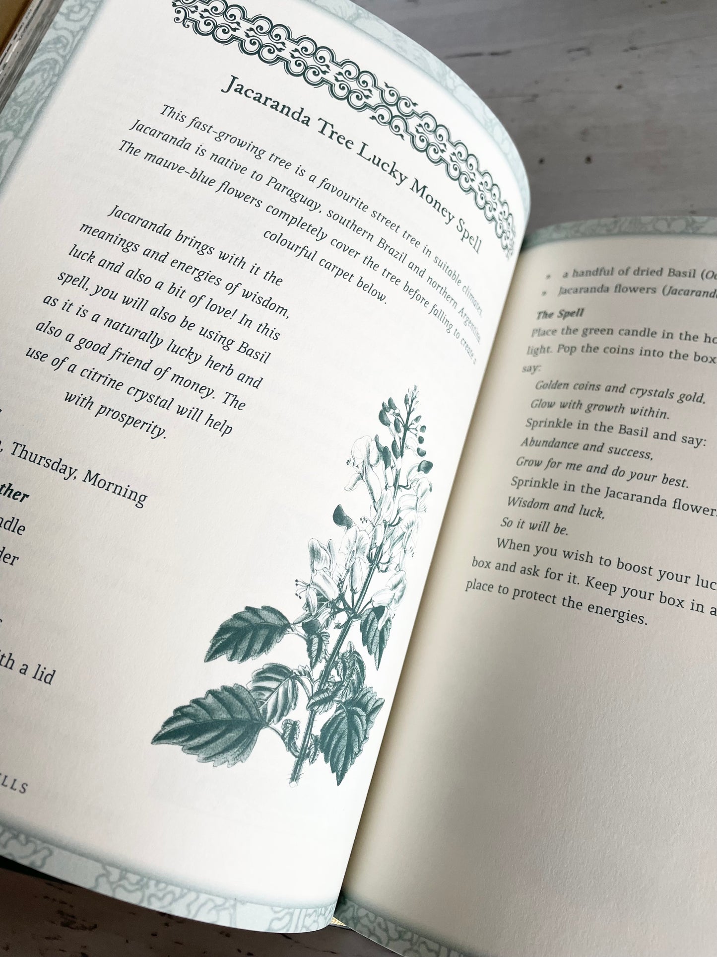 The Book of Tree Spells