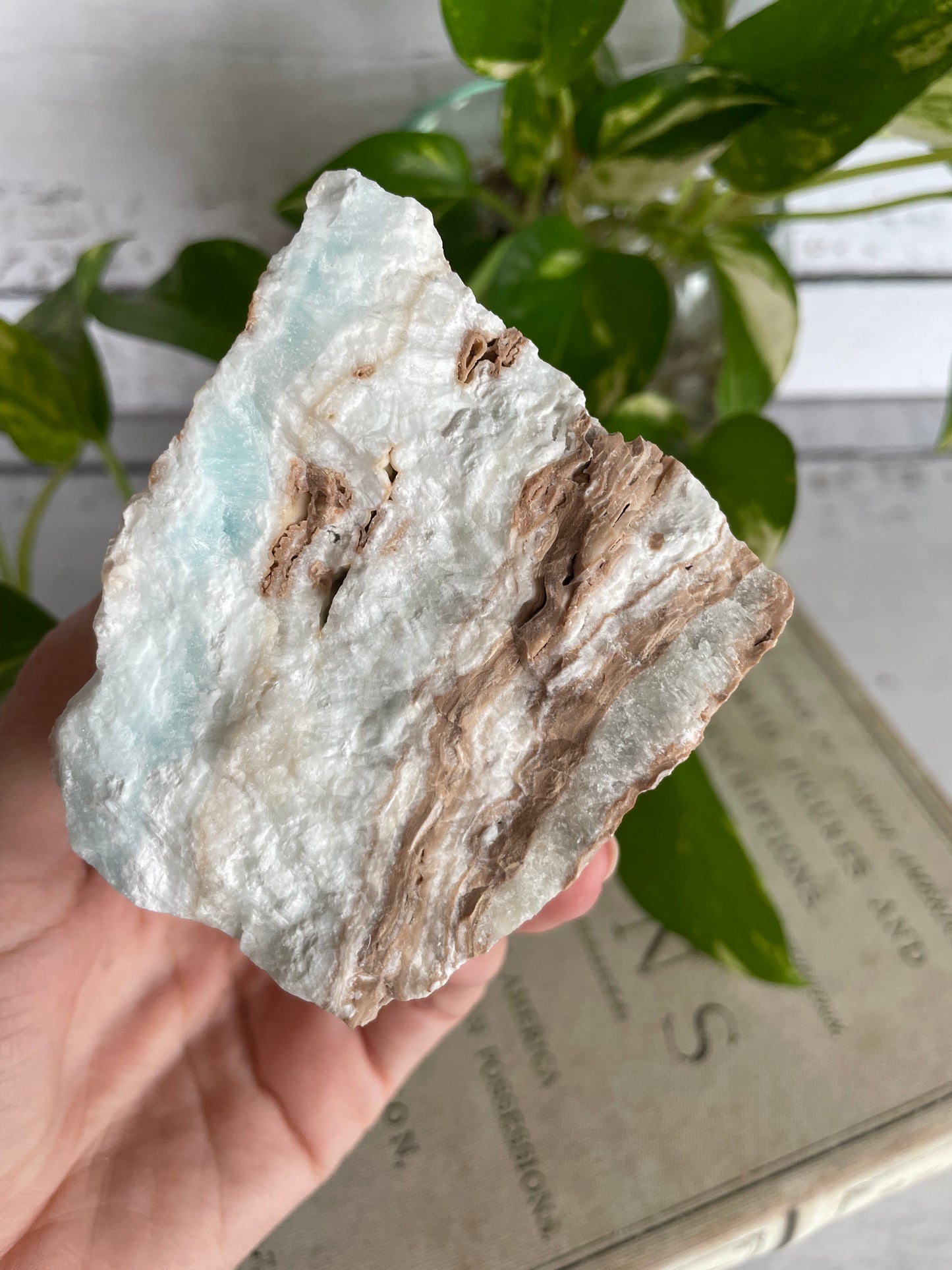 Raw Caribbean Calcite