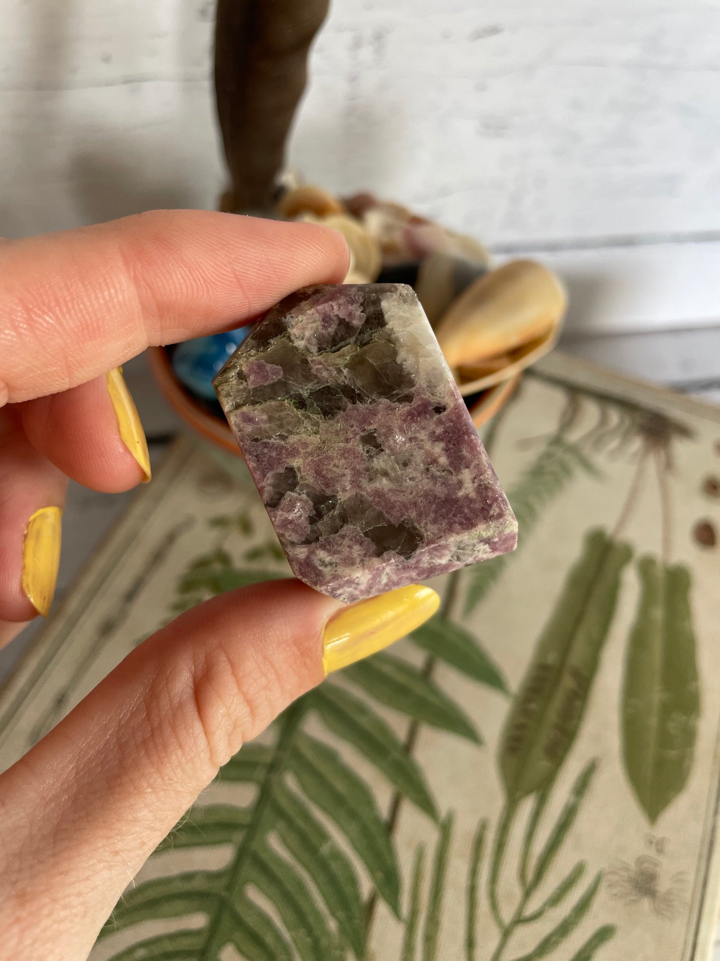 INTUITIVELY CHOSEN Lepidolite ~ Polished Freeform