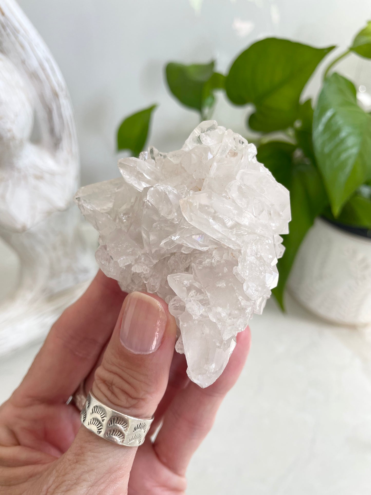 Clear Quartz Cluster