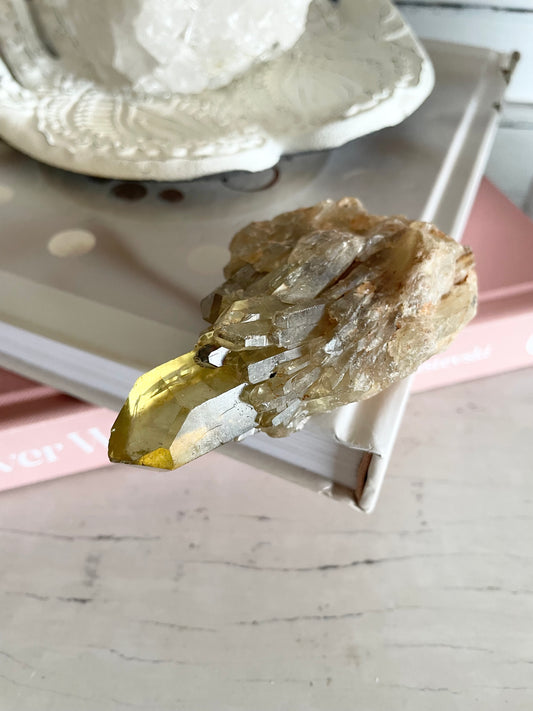 Natural Pineapple Citrine Cluster Point