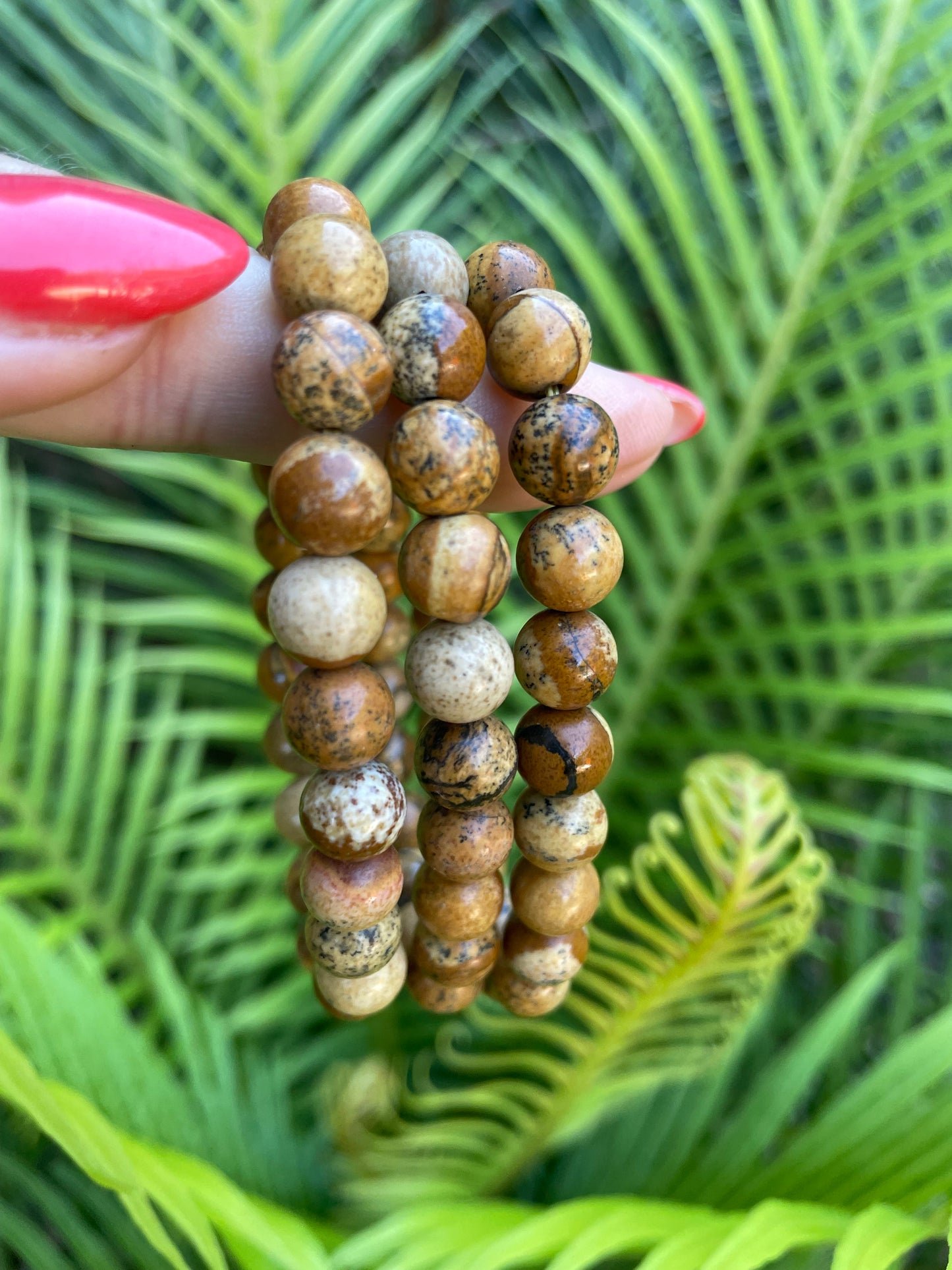 Picture Jasper Healing Bracelet