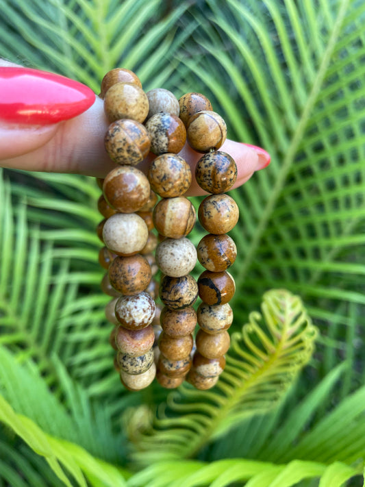 Picture Jasper Healing Bracelet