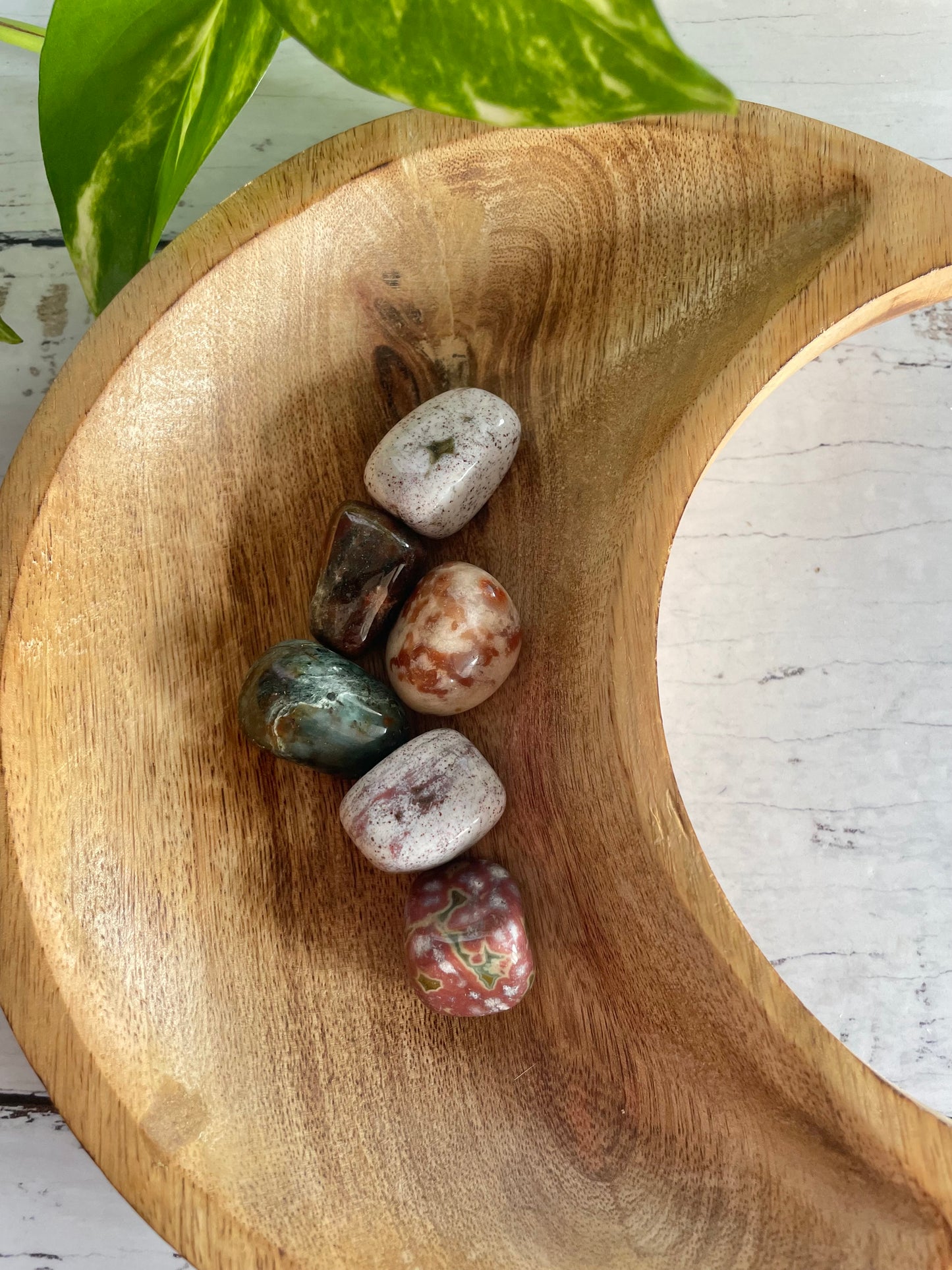 Ocean Jasper Tumble Stones