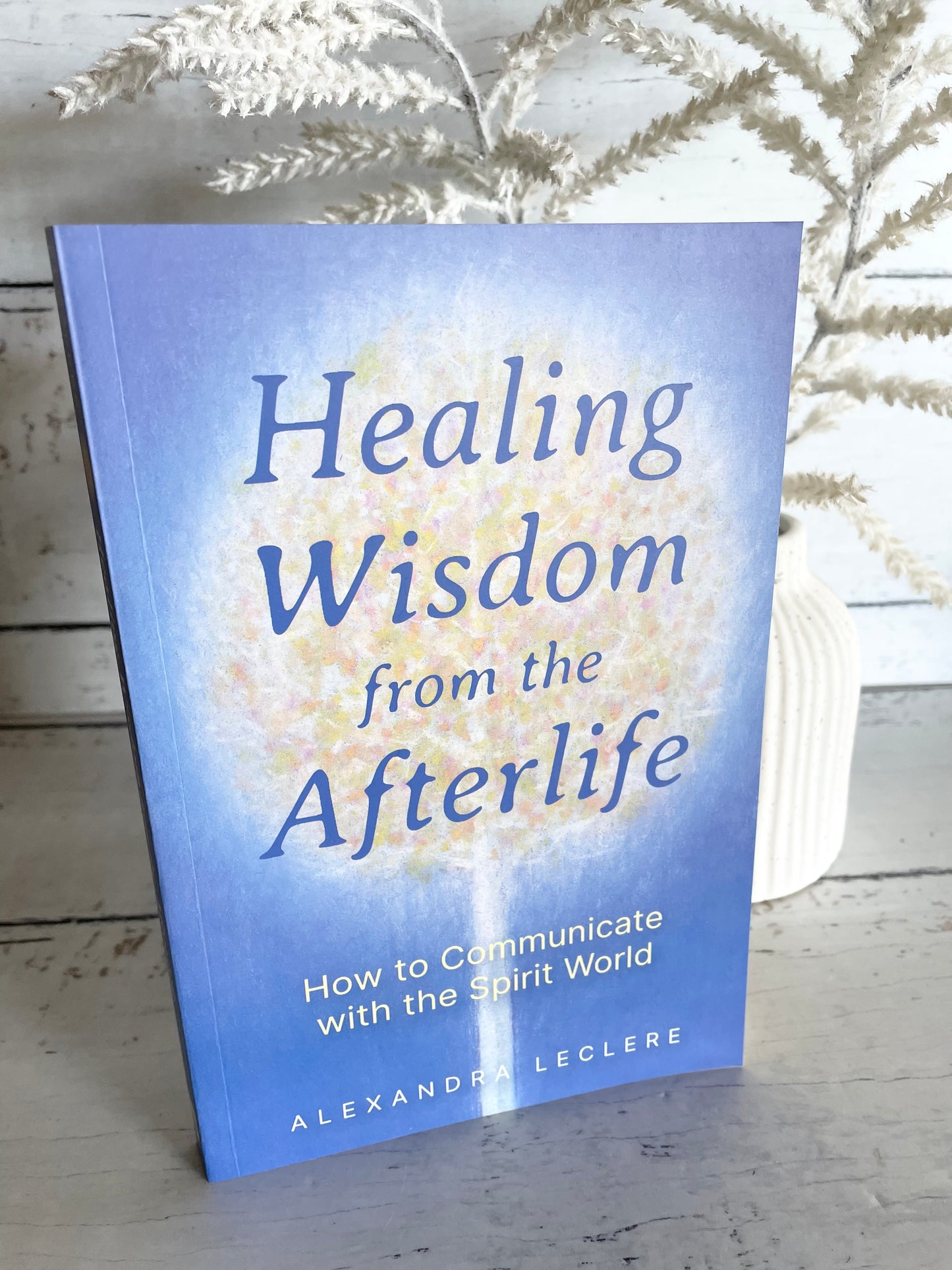 Healing Wisdom from the Afterlife