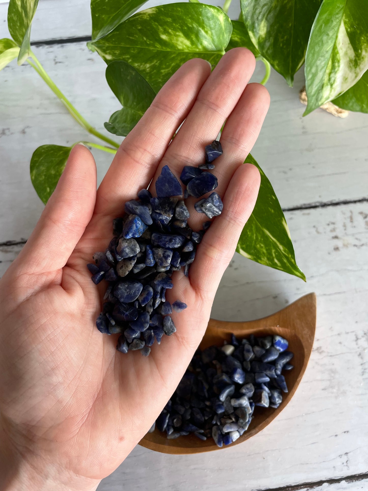 Crystal Chips ~ Sodalite 100g Pouch