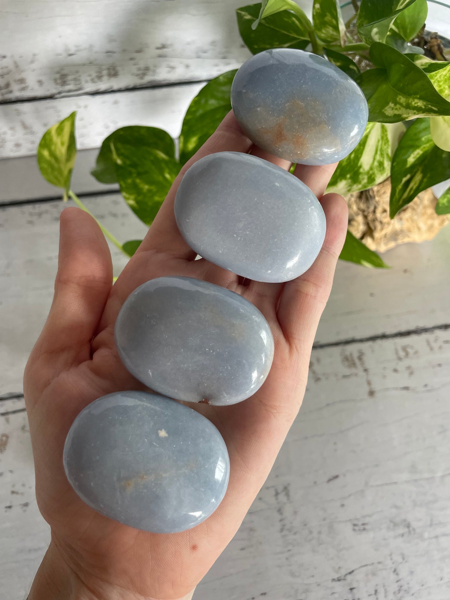 INTUITIVELY CHOSEN ~ Angelite Palm Stone