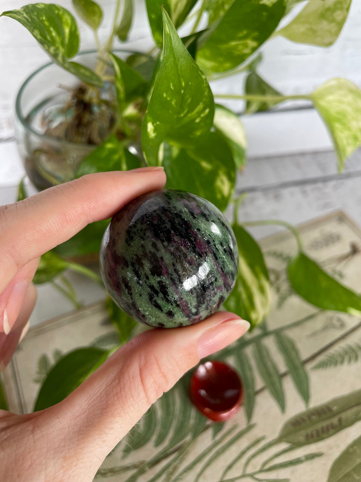 Ruby Zoisite Sphere Includes Wooden Holder