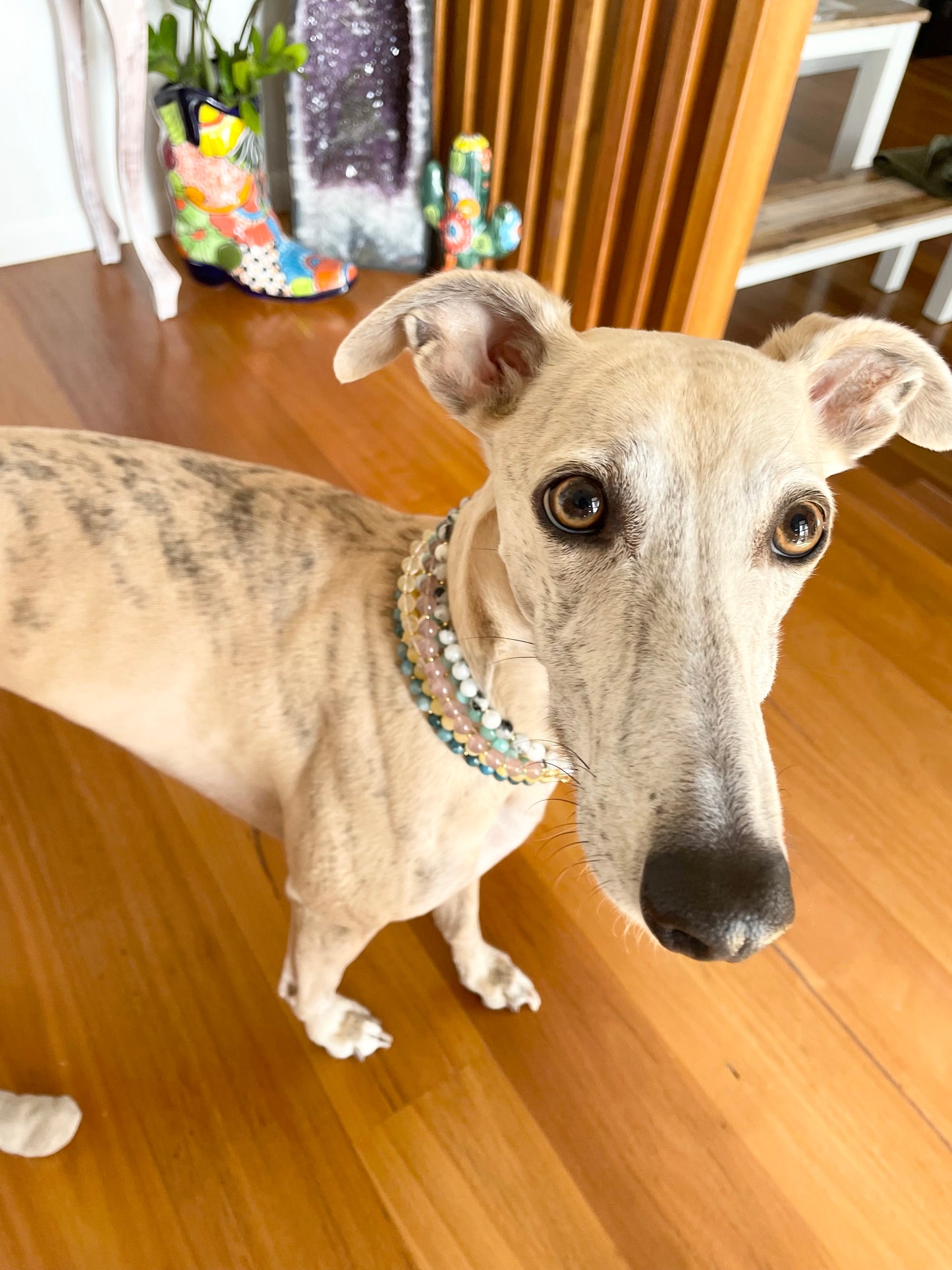 Custom Dog Crystal Healing Necklace