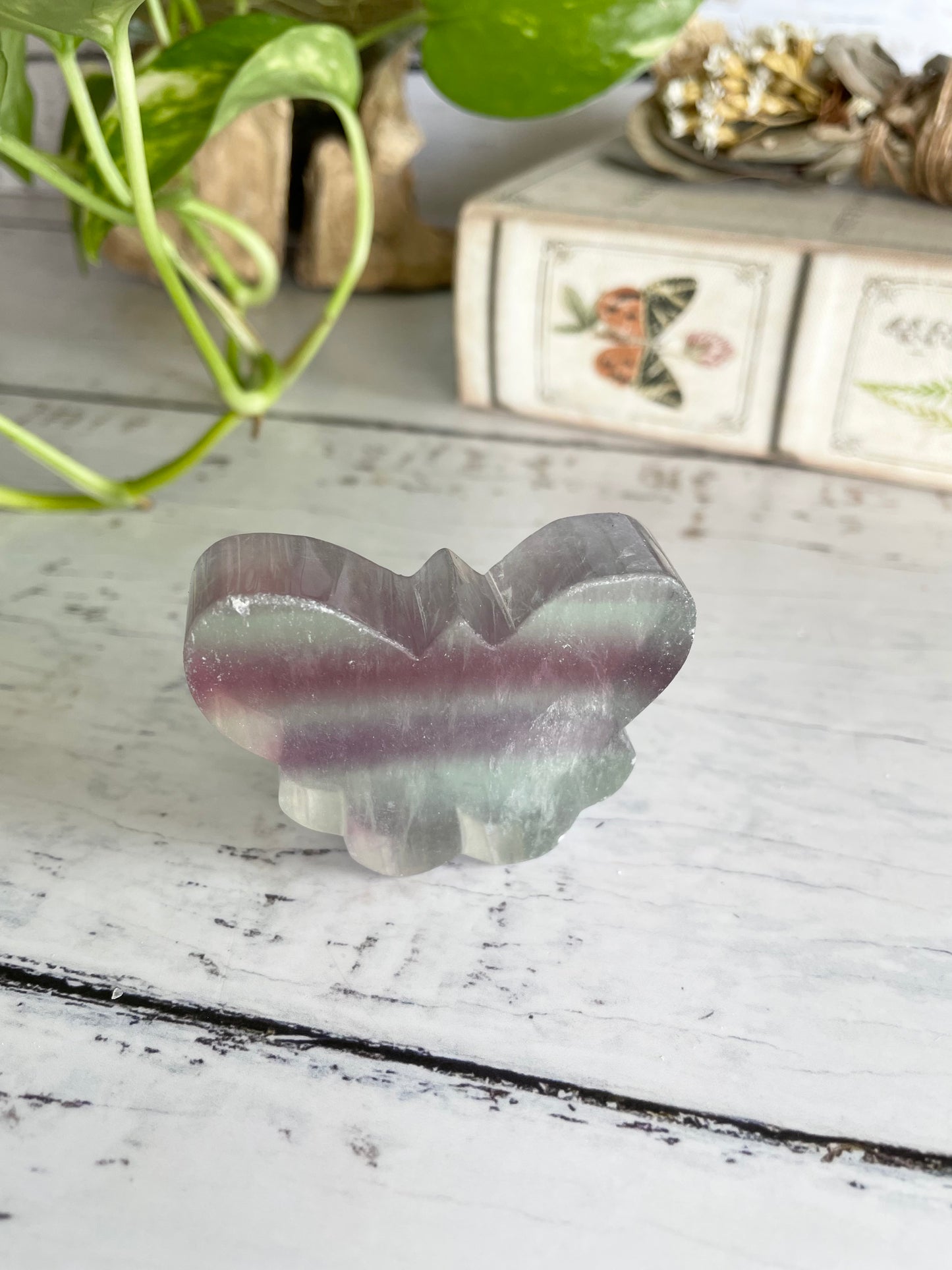 Butterfly ~ Rainbow Fluorite