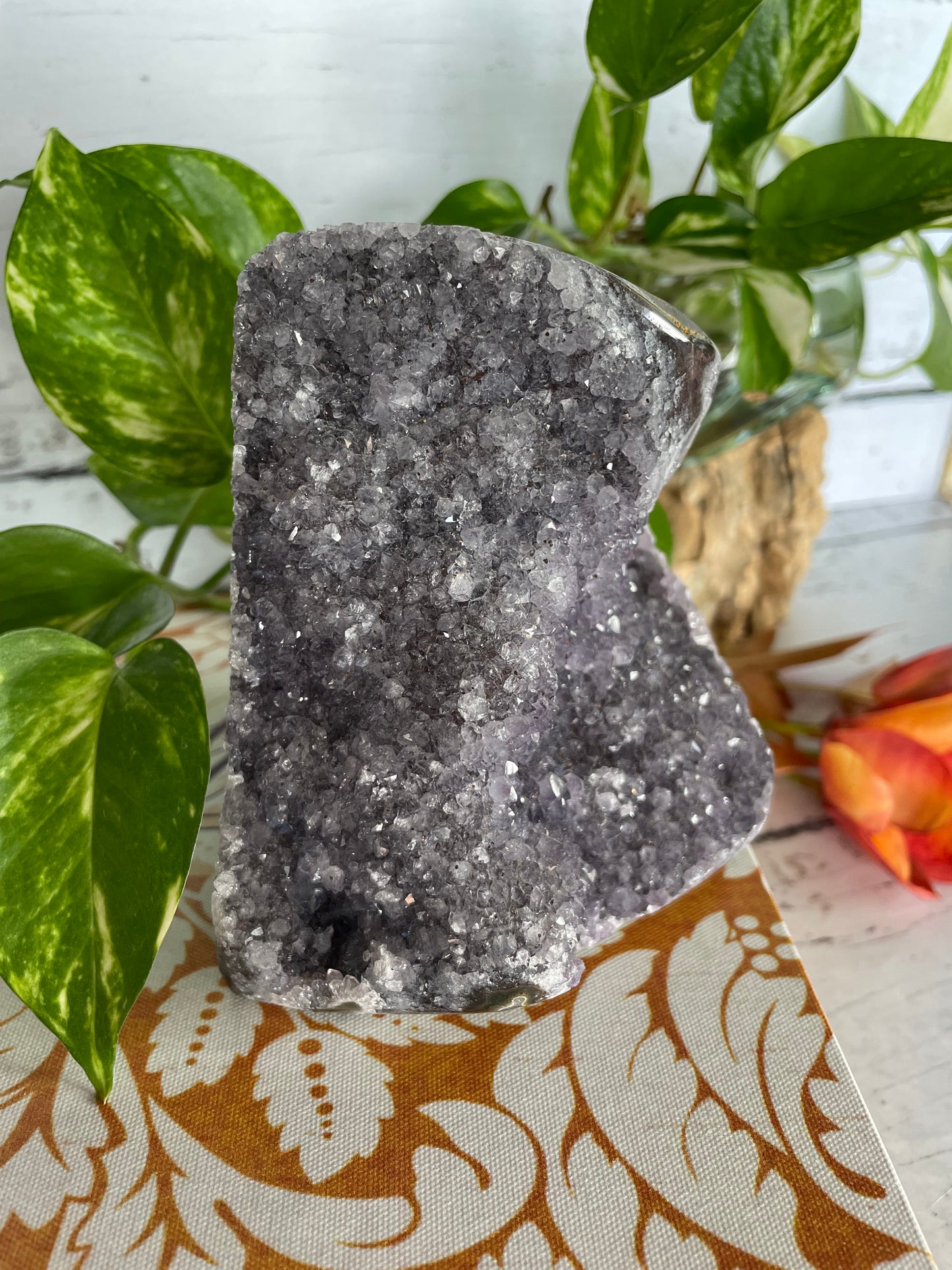 Amethyst Standing Cluster ~ 1.1kgs