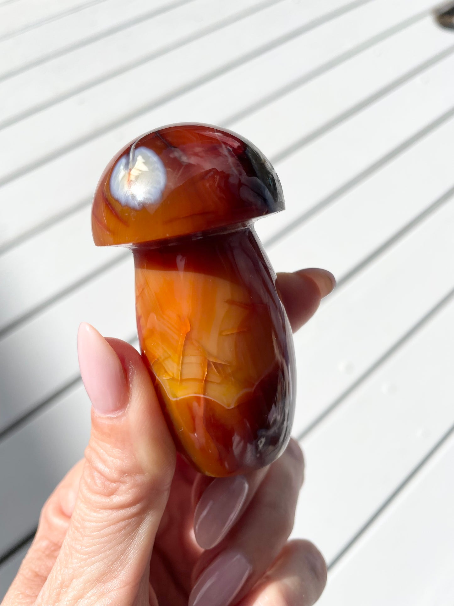Carnelian Mushroom