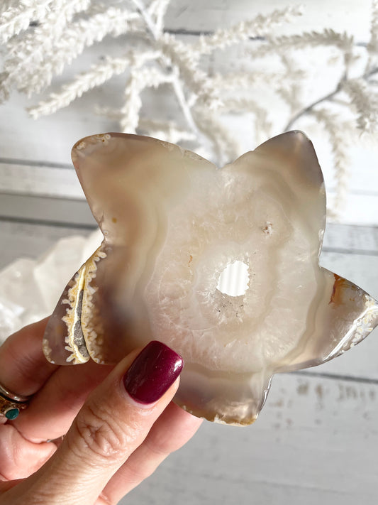 Natural Agate ~ Sea Star