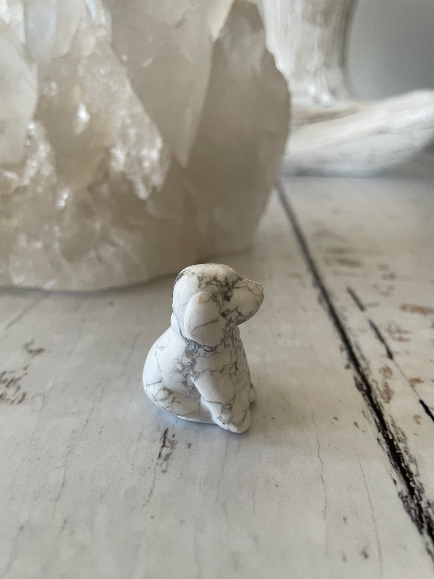 White Howlite Dog