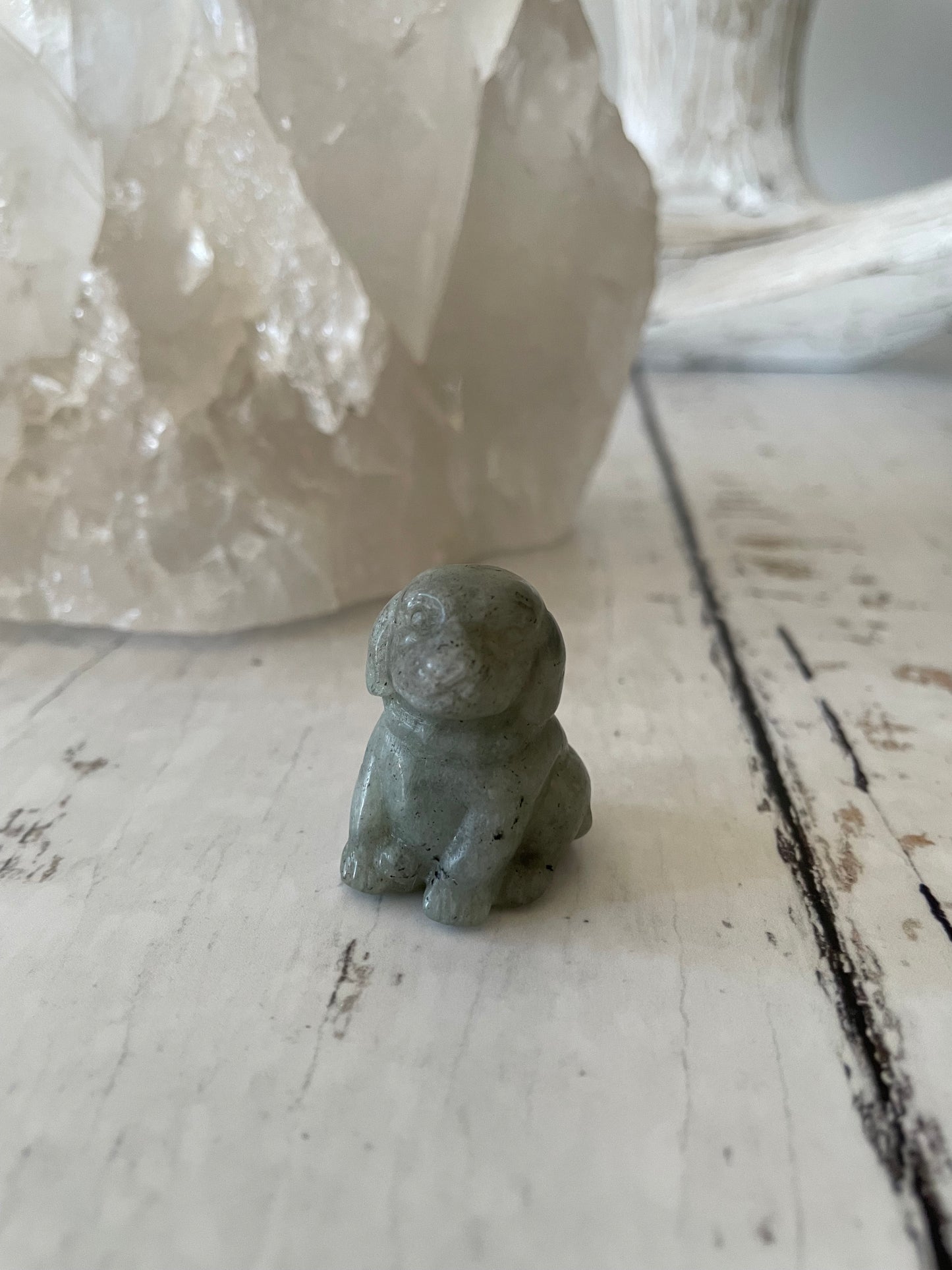 Labradorite Dog