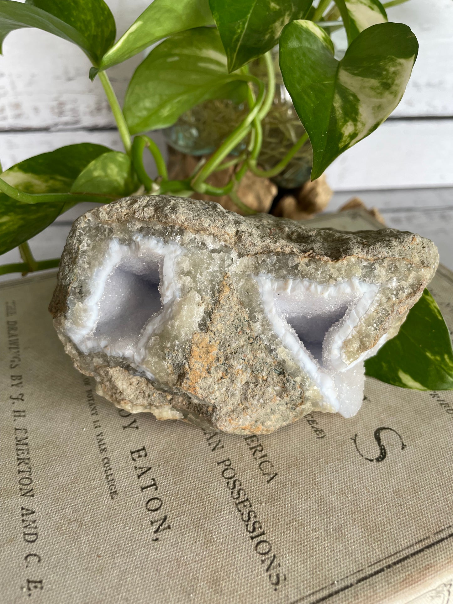 Blue Lace Agate