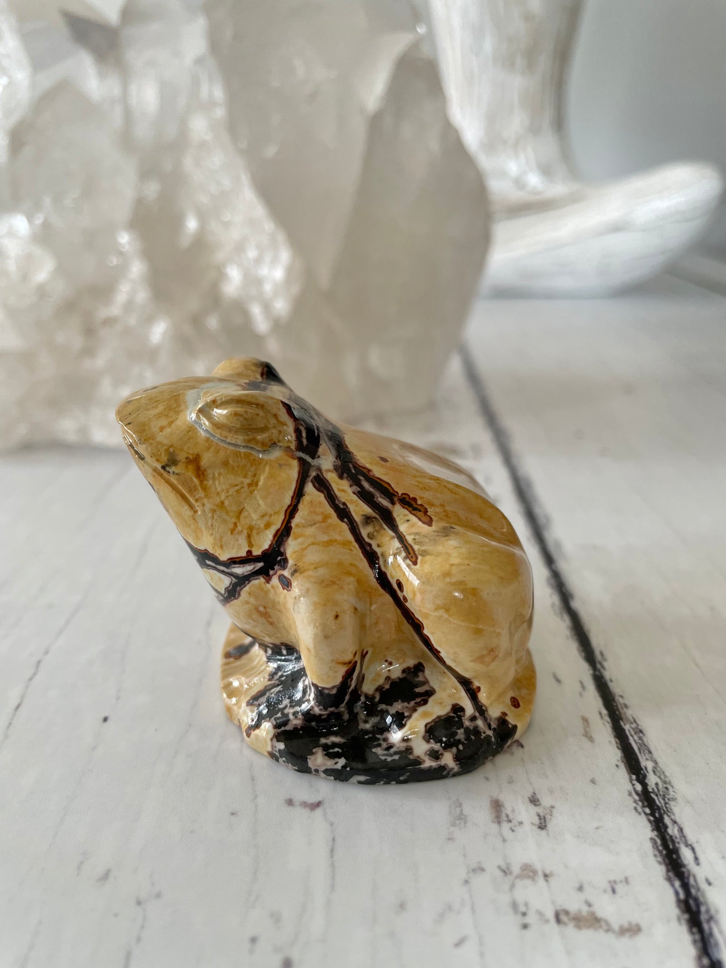 Picture Jasper Frog