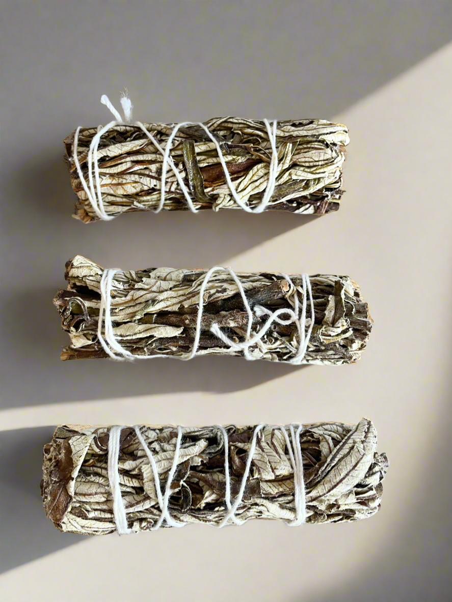 Authentic Smudge bundle ~ Yerba Santa