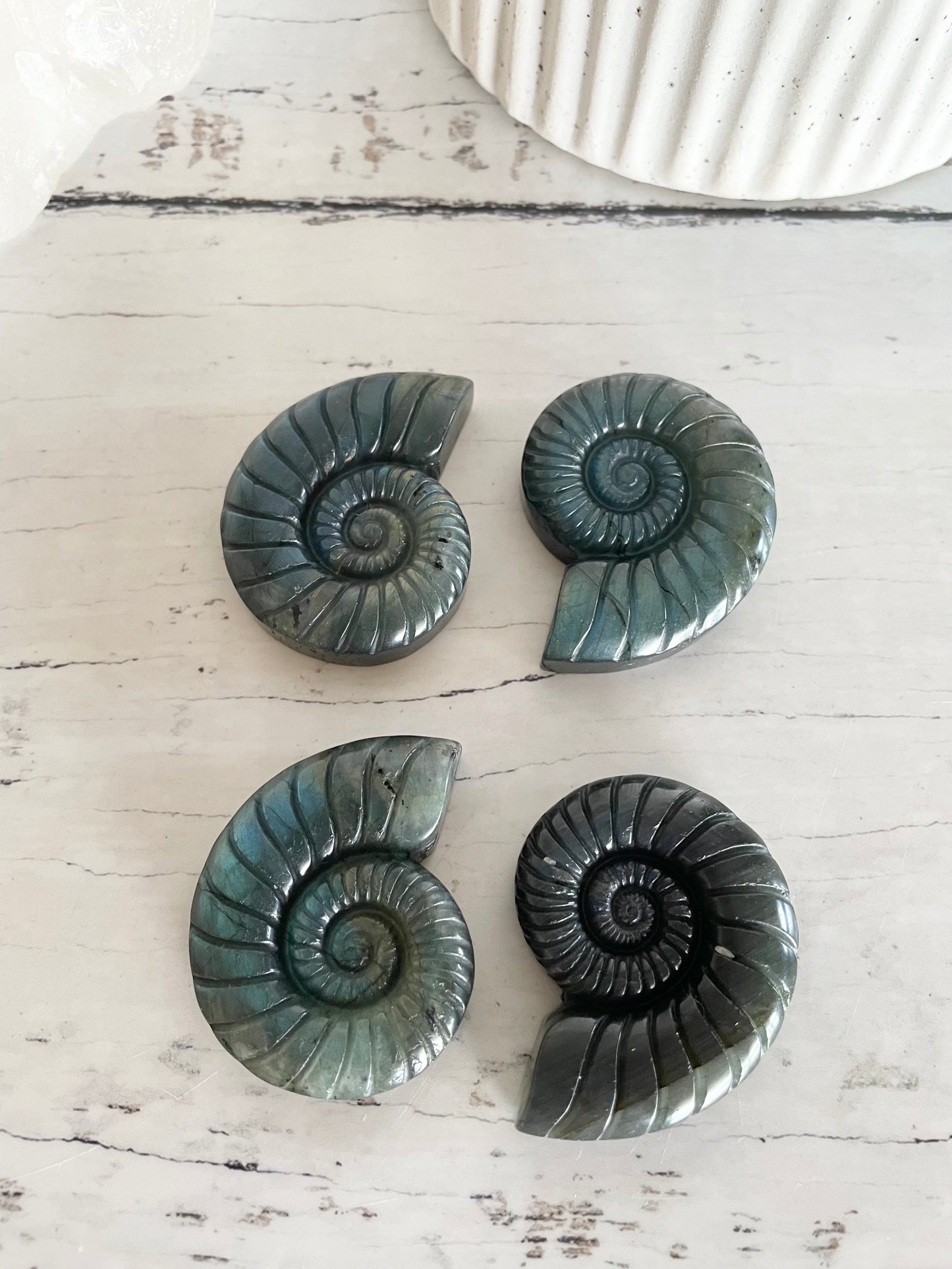 Intuitively Chosen ~ Labradorite Shell