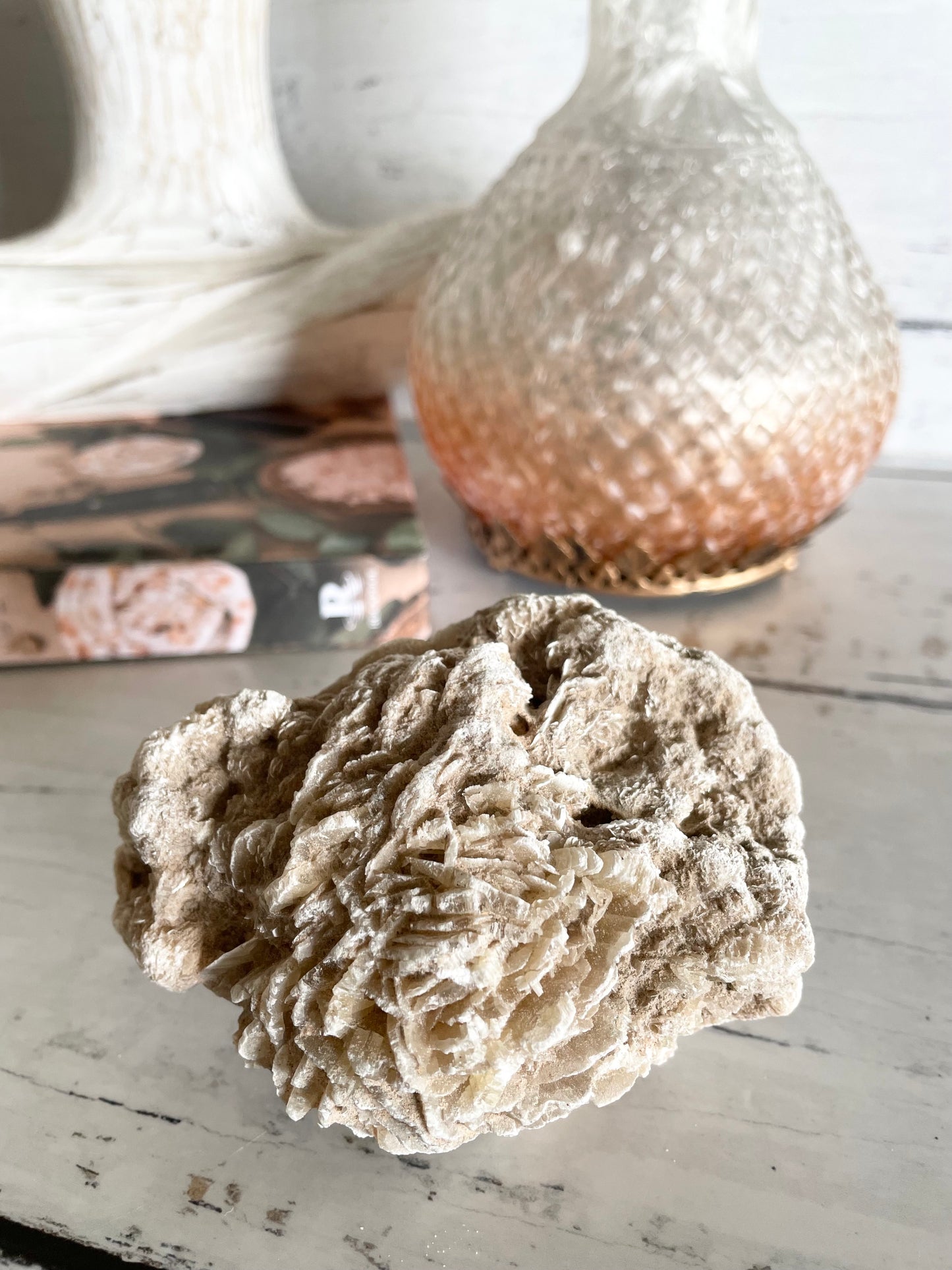 Desert Rose