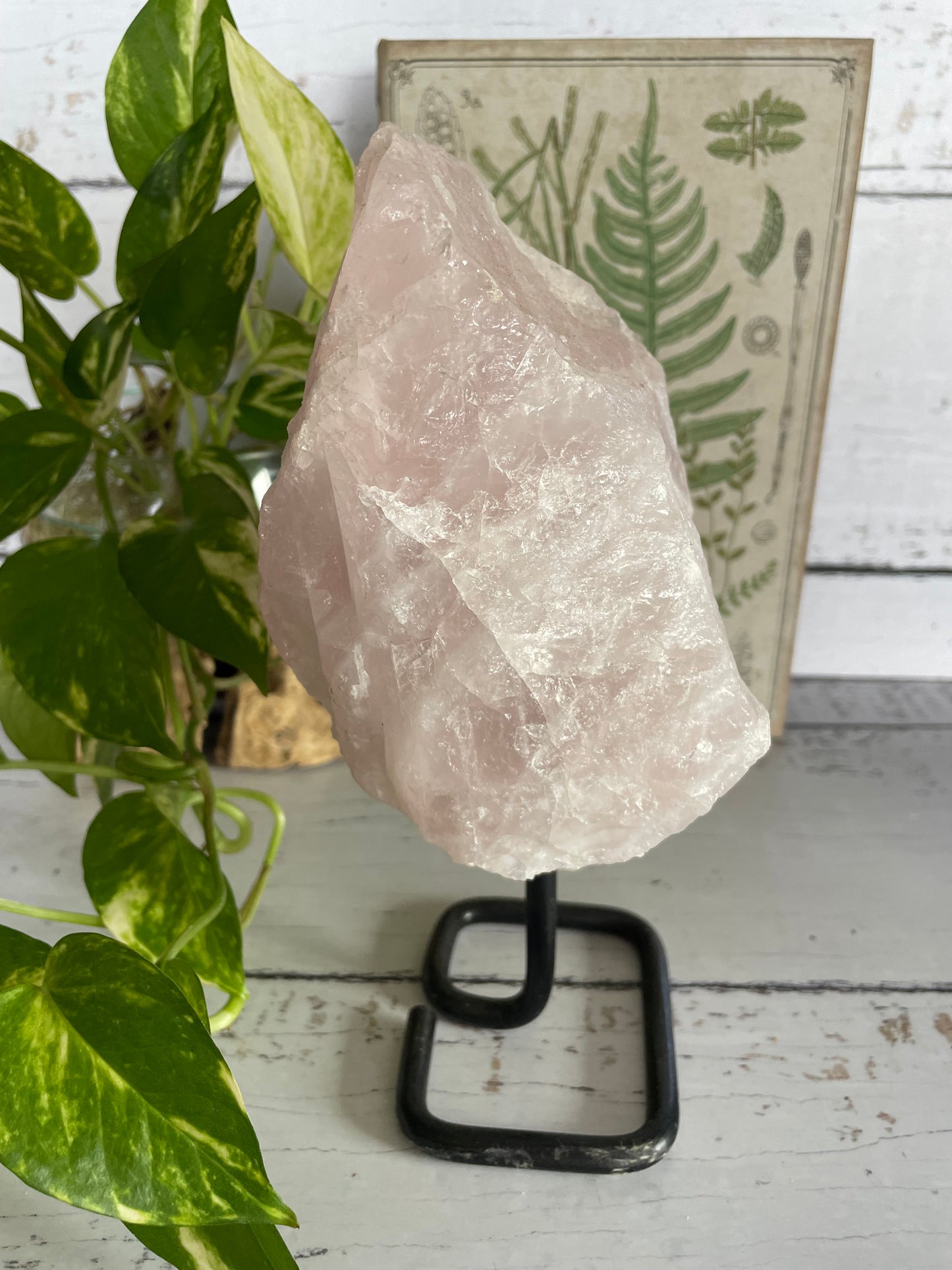 Rose Quartz ~ 2.1kgs