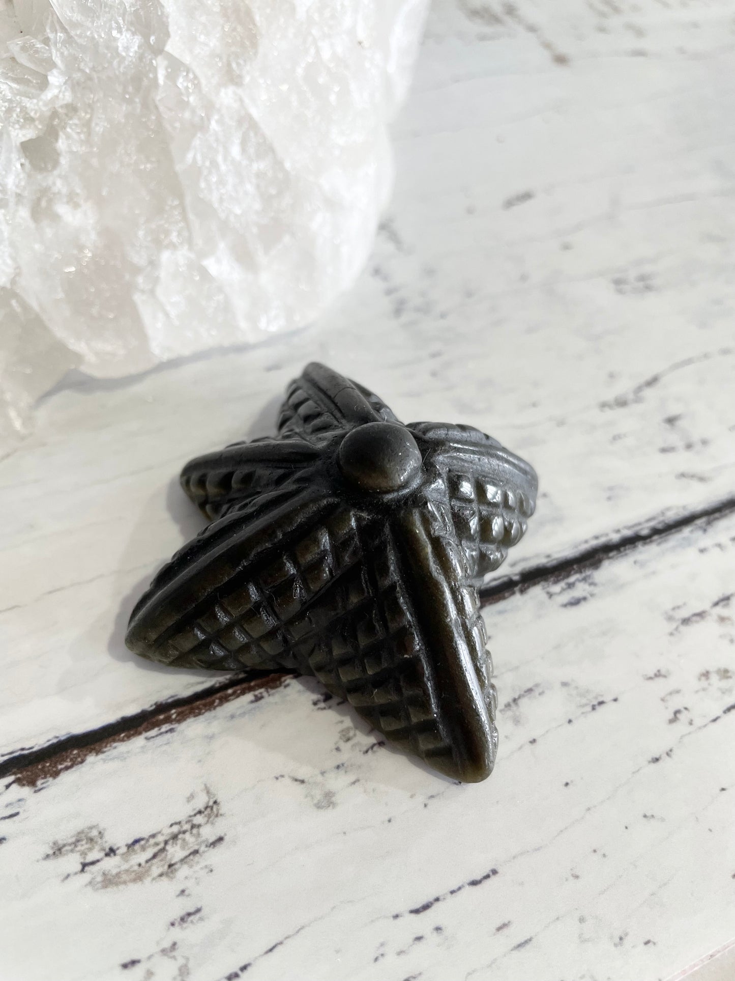Golden Obsidian Sea star