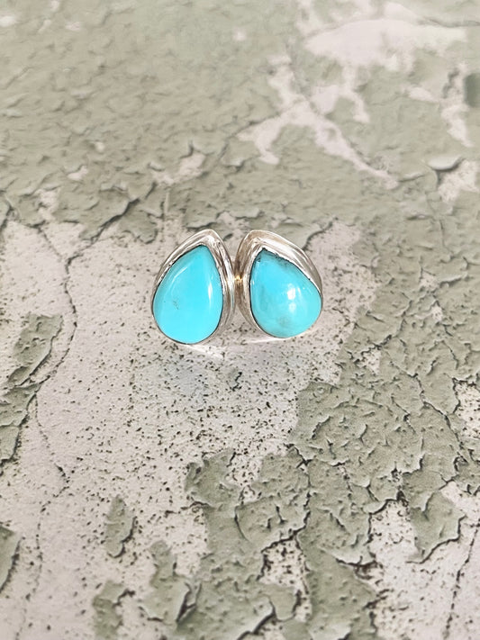 Blue Kingman Turquoise Posts