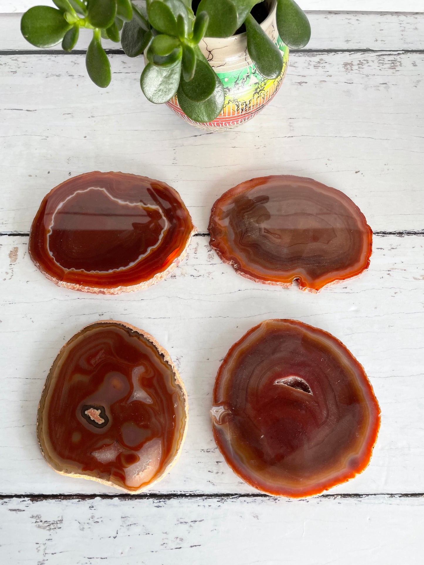 Agate Slice Coasters ~ Orange