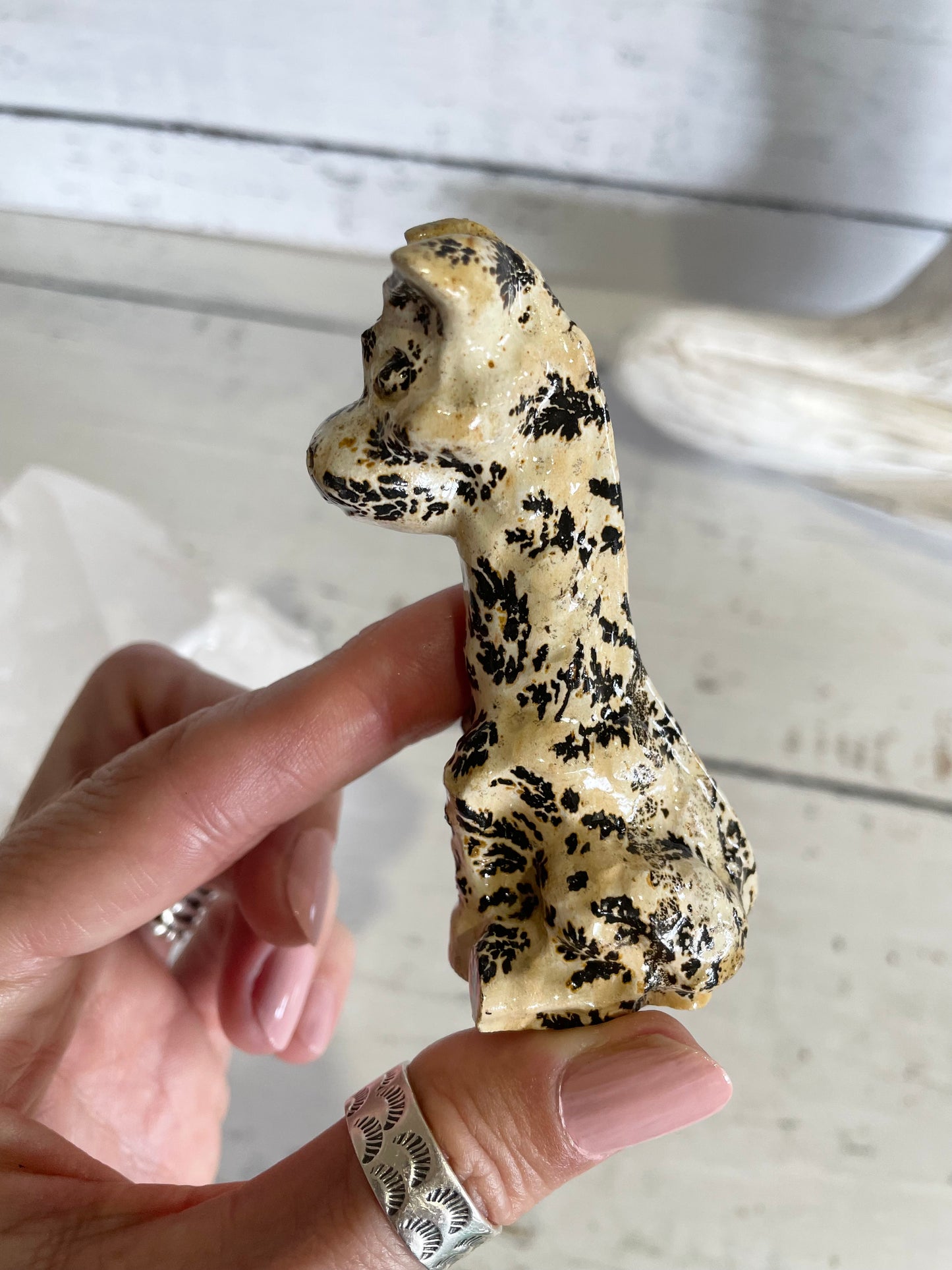 Picture Jasper Giraffe ~ 18