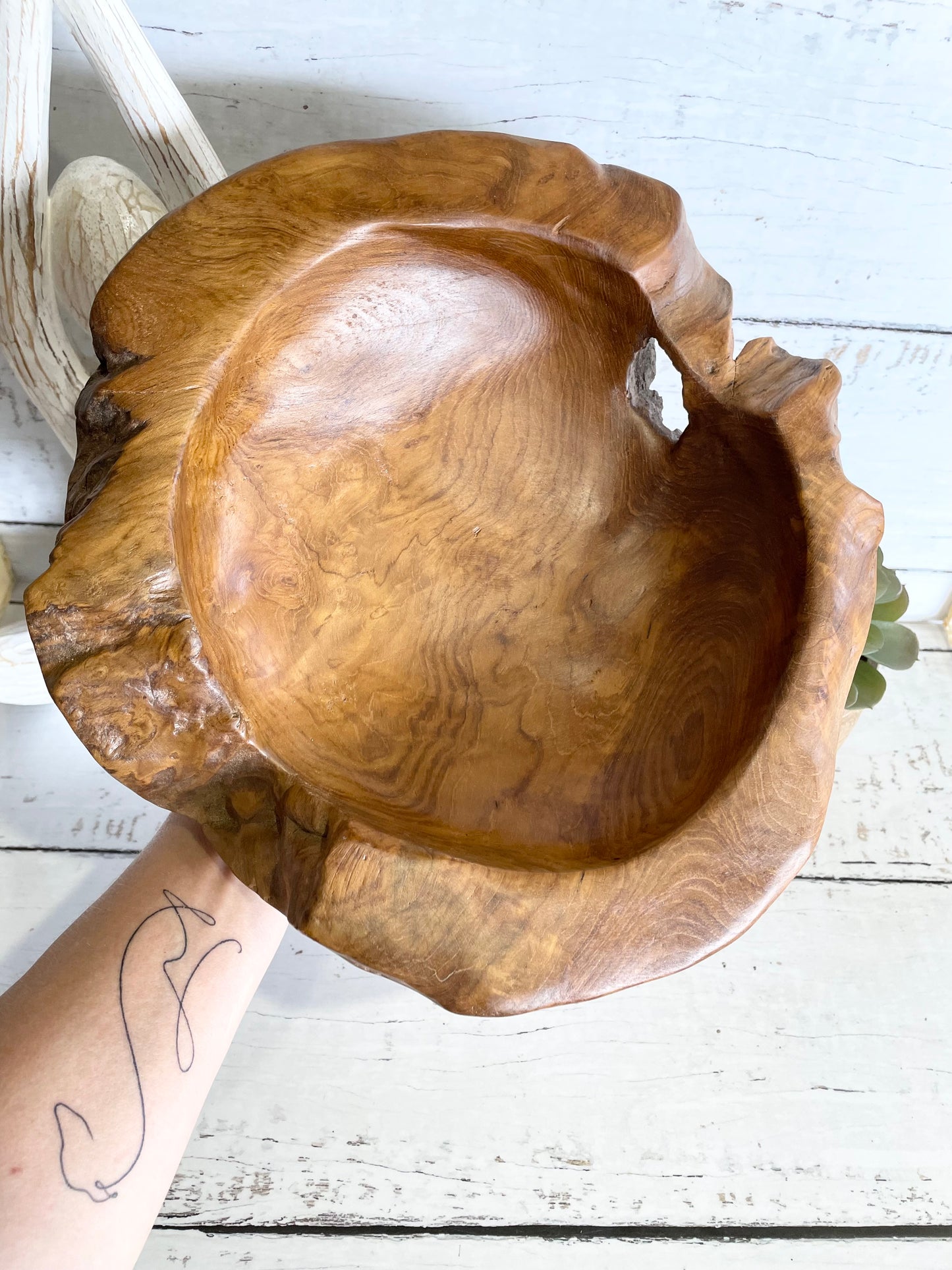 Mango Wood ~ Display Bowl