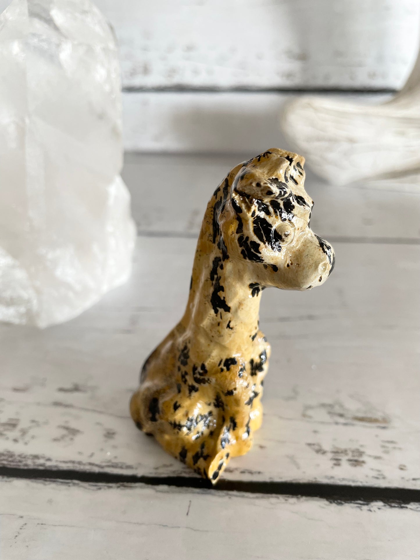 Picture Jasper Giraffe ~ 6