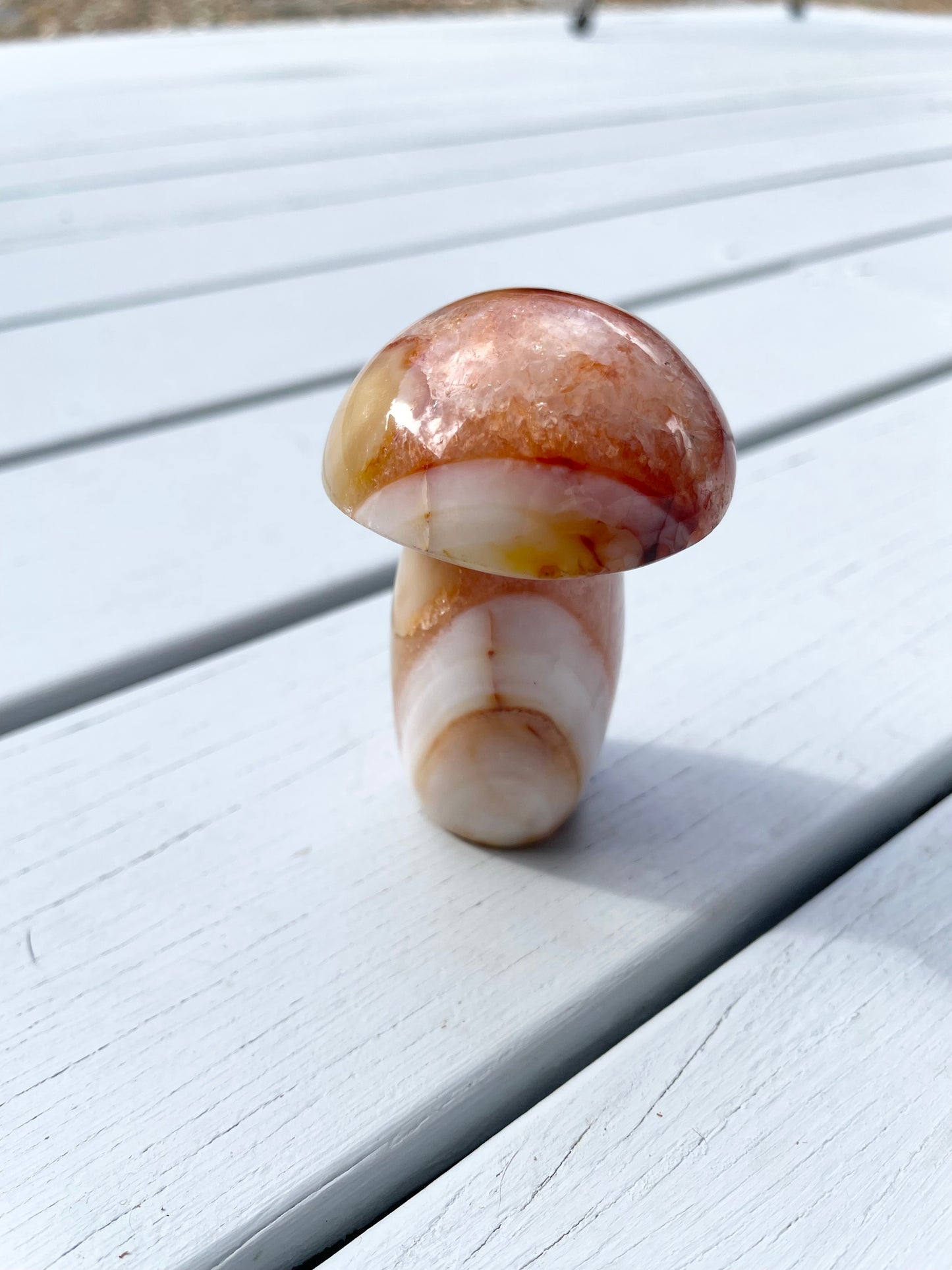 Carnelian Mushroom
