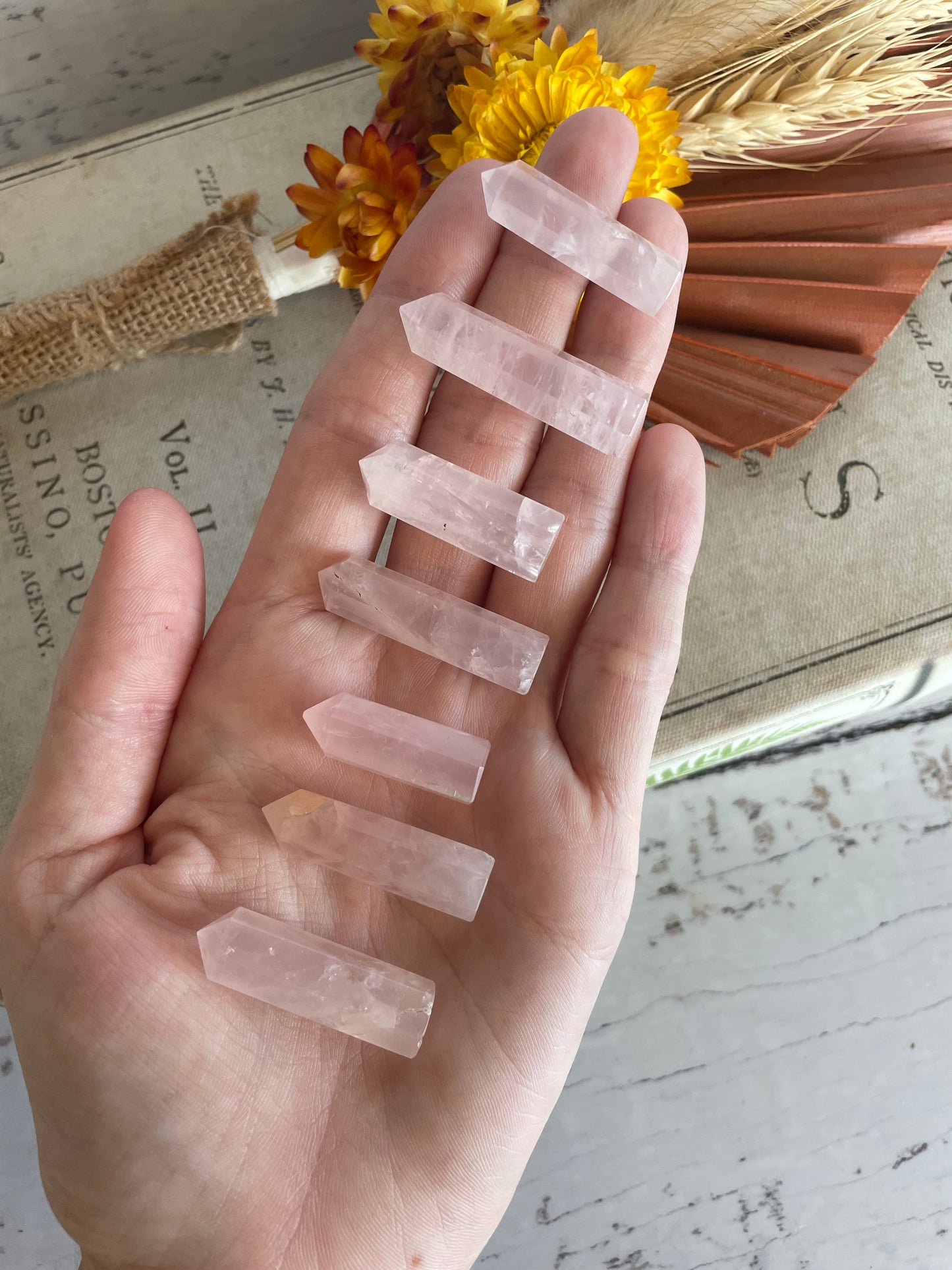 Intuitively Chosen ~ Rose Quartz Mini Generator