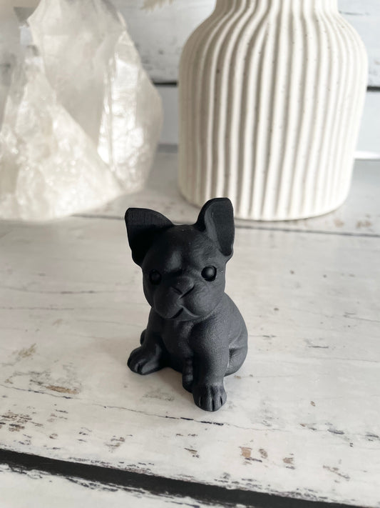 Black Obsidian Dog ~ French Bulldog (cutest frenchie)