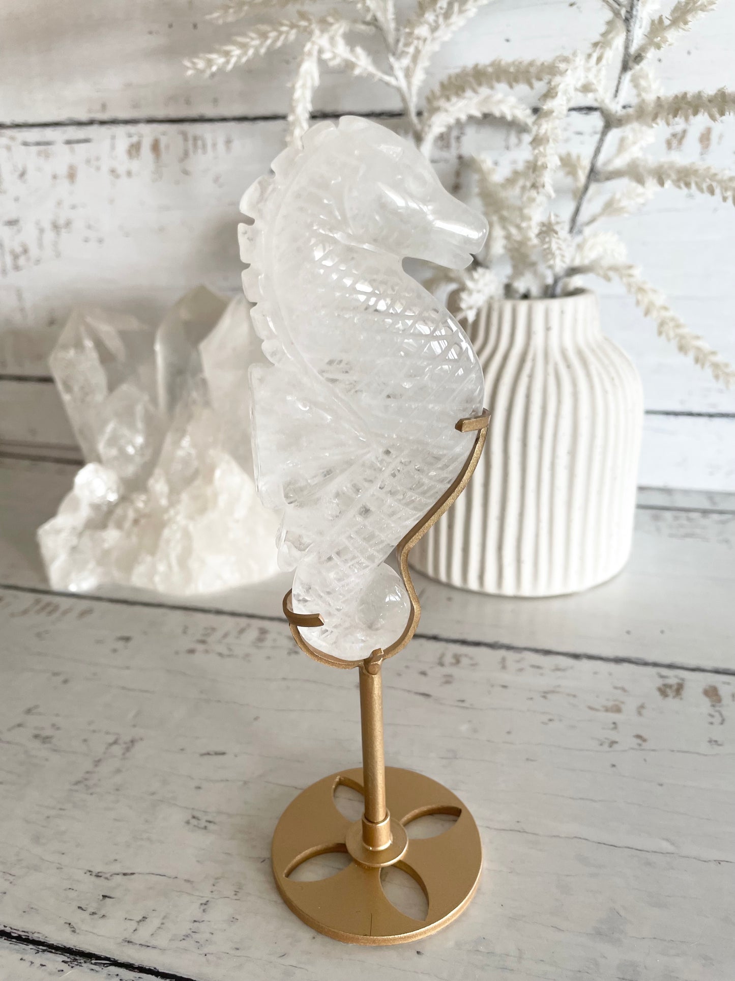 Seahorse ~ Clear Quartz